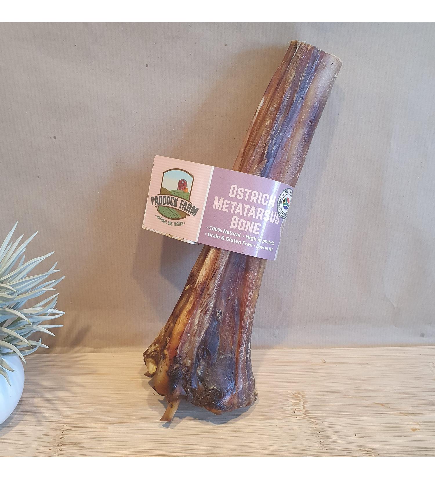 Ostrich Metatarsus Large Bone for Dogs. - Buy Online on GoSupps.com