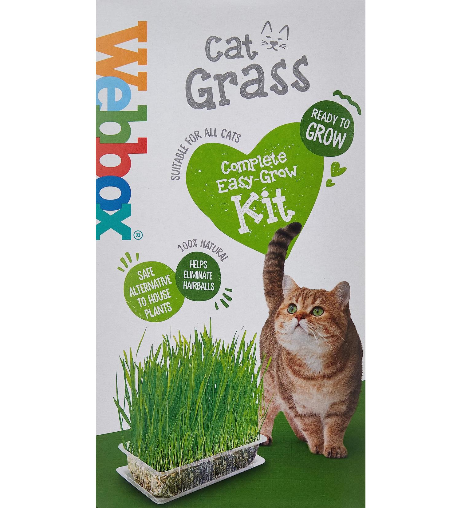 Webbox Cat Grass Kit 120g - Buy Online on GoSupps.com