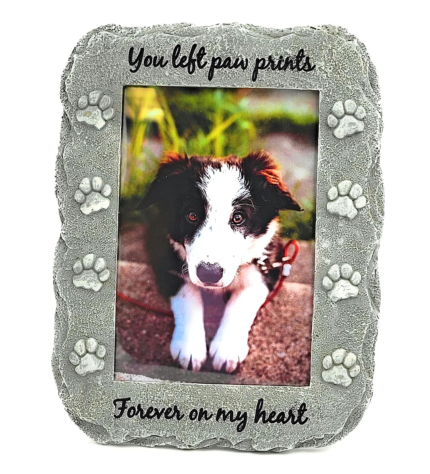 NewLifeLandia Pet Memorial Picture Frame Keepsake for Dog or Cat  Perfect Loss of Pet Gift for Remembrance and Healing Grey - Buy Online on GoSupps.com