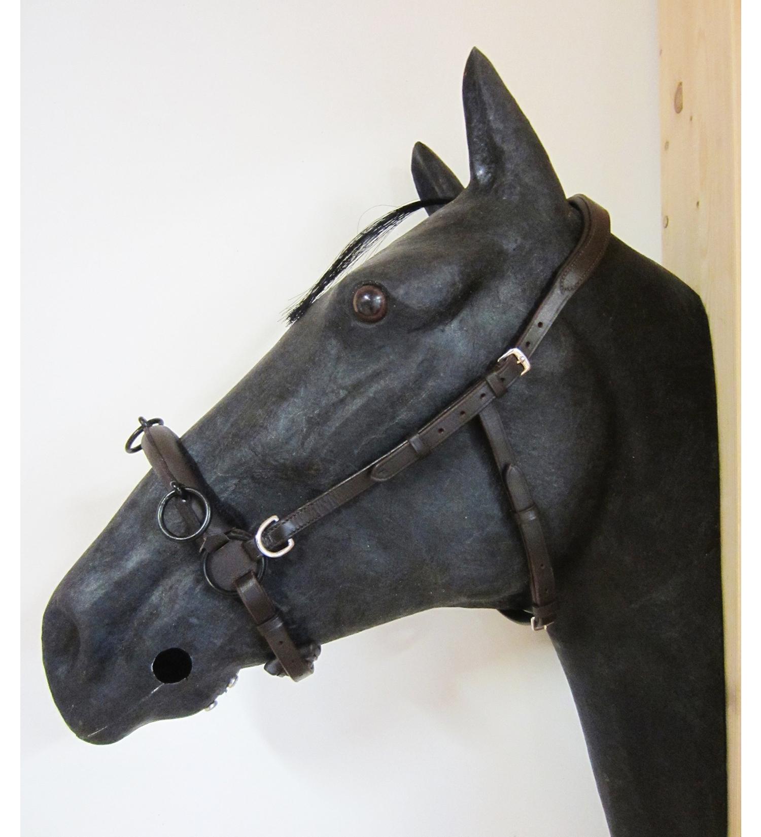PS Horse Articles Padded Anatomical French Cavesson Cavecon/Cavesson with D-Rings Cob - Color Brown