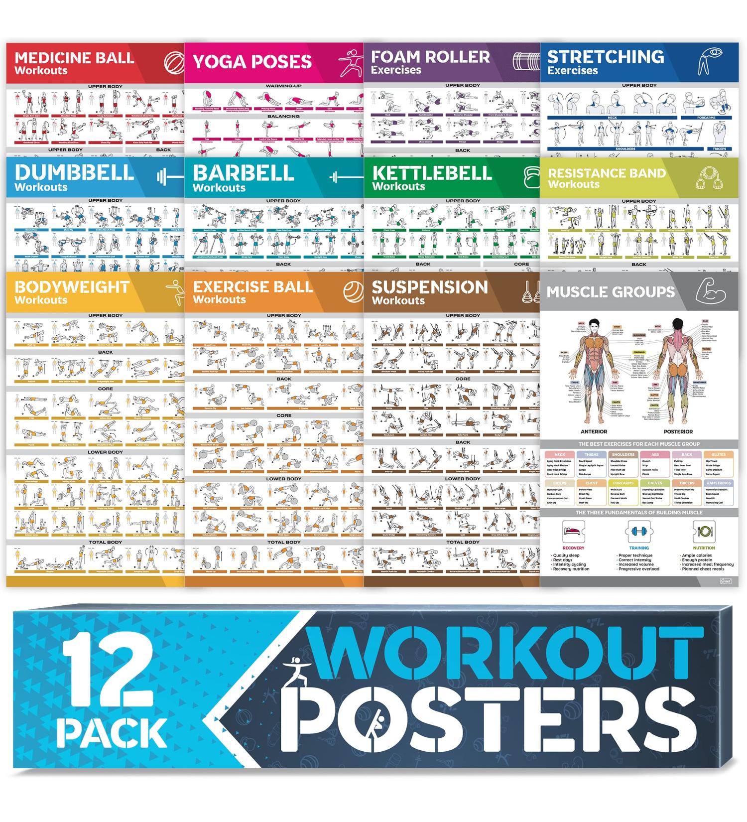 12-PACK Laminated Workout Poster Set for Home Gym - Exercise Charts for Dumbbell, Yoga Poses, Resistance Band, Kettlebell & Stretching - Fitness Gym Posters - Buy Online on GoSupps.com