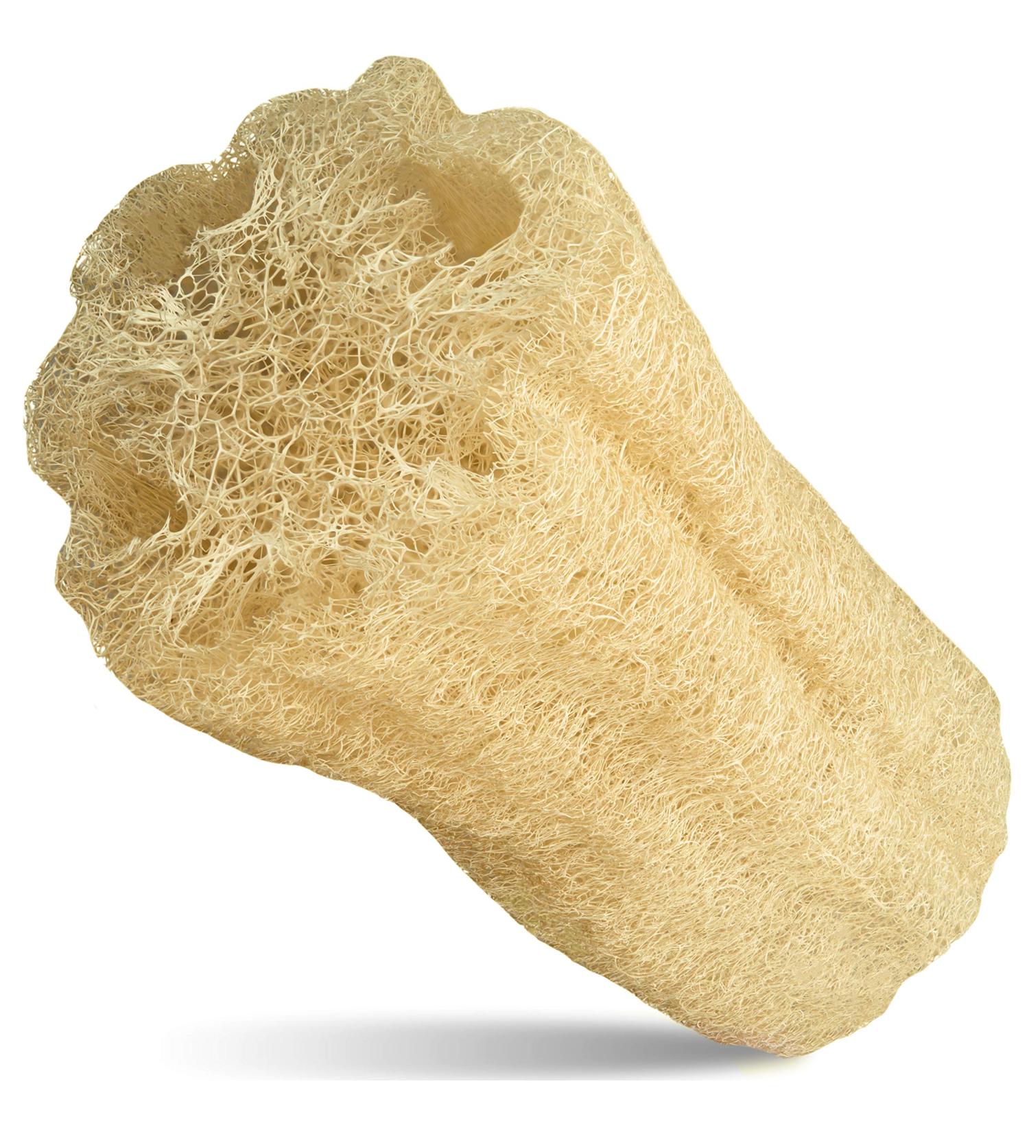 Loofah Moments Luffa Sponge | Natural Bath Sponge for Healthy Peeling | 100% Compostable Skin Care Solution - Buy Online on GoSupps.com