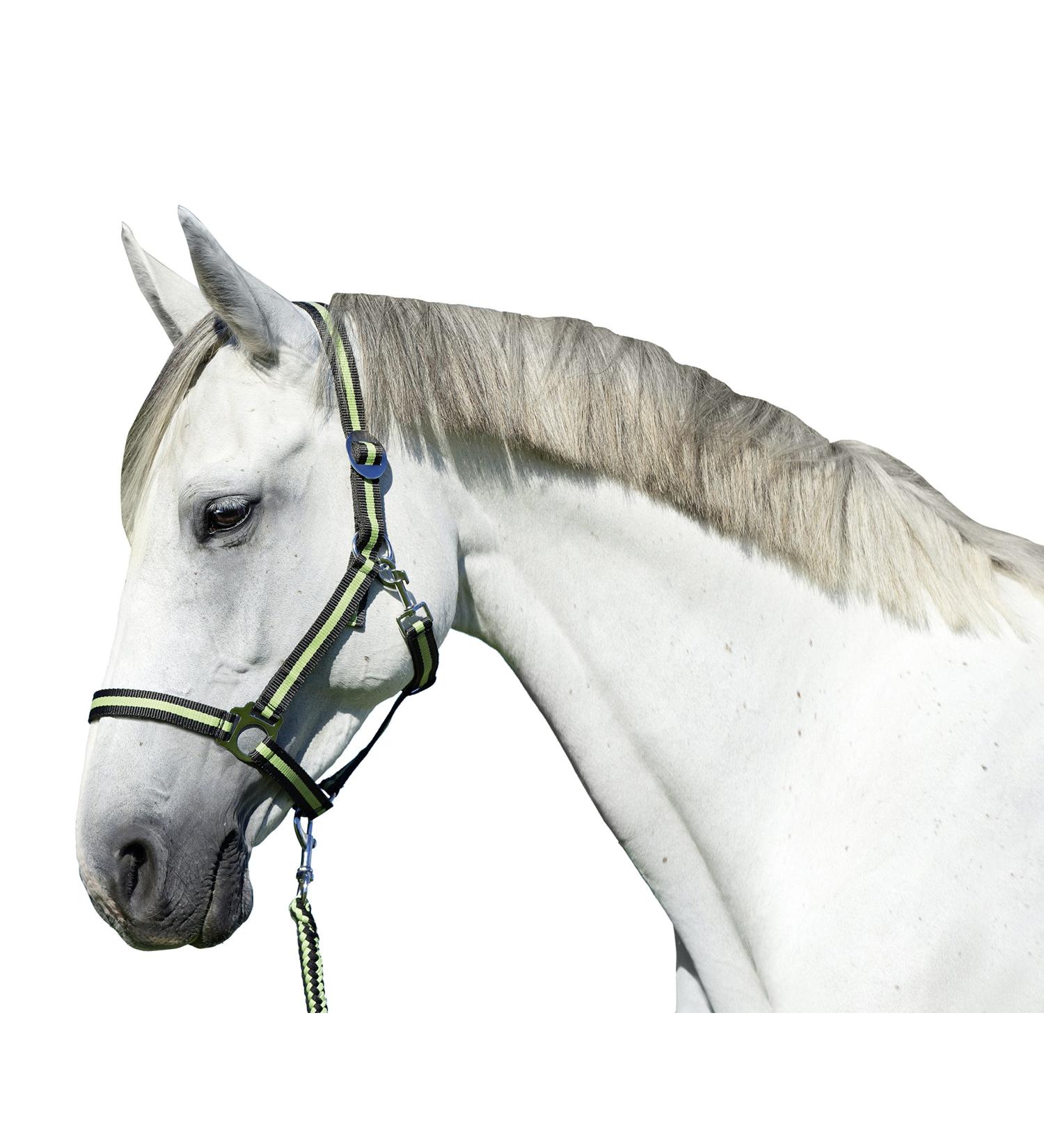 Kerbl Nylon Halter Hippo Nylon Halter for Pony Shetty Full Cob XFull 6 Colors Size 2 Anthracite/Lemon