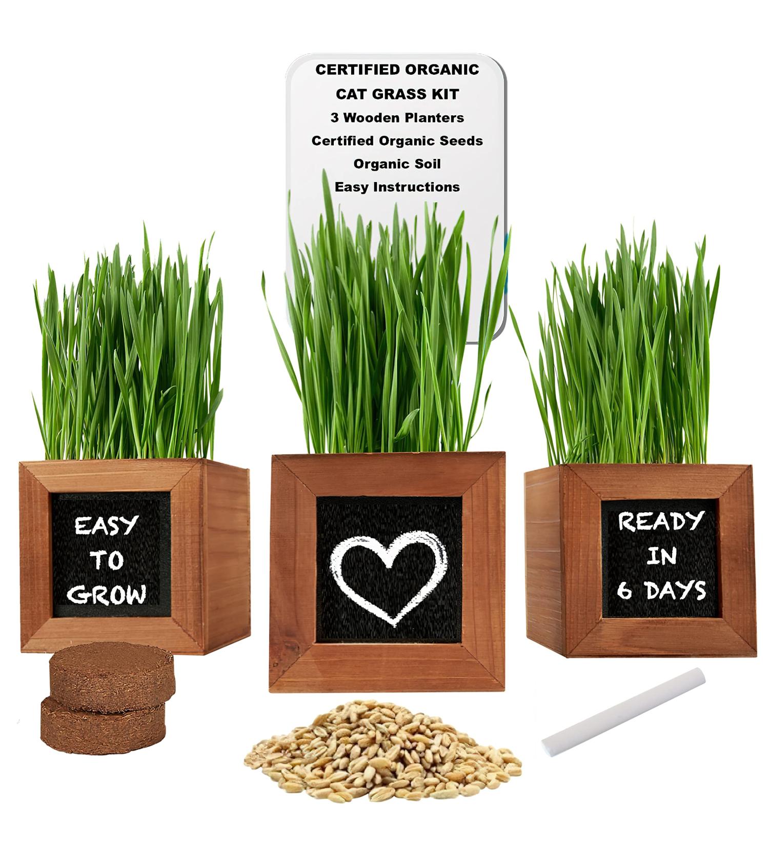 Certified Organic Cat Grass Kit with 3 Wooden Planters - Perfect Gift for Indoor Cats - Buy Online on GoSupps.com