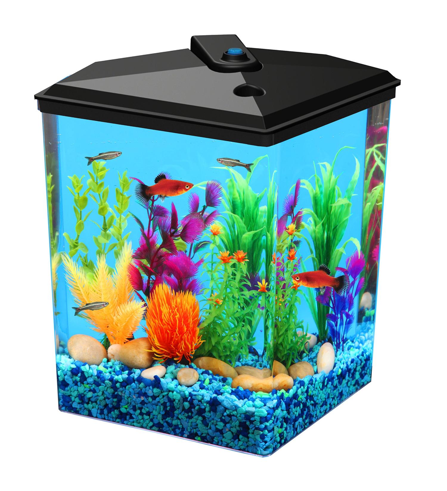Koller Products AquaView 2.5-Gallon Fish Tank with Power Filter and LED Lighting - 7 Color Selections - Buy Online on GoSupps.com