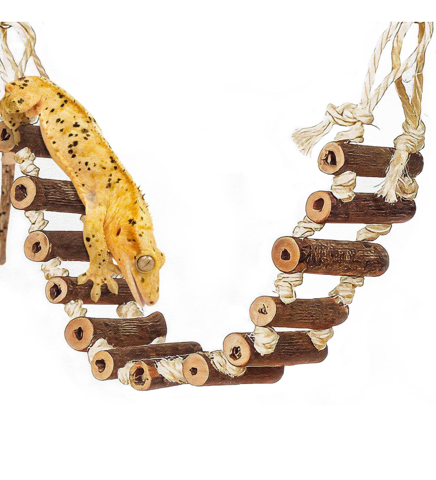 Meric Gecko Ladder Bridge - Raw Wood Hanging Climber for Lizards, Hamsters, Gerbils - Flexible Swinging Footway for Physical & Mental Stimulation - Entertainment for Small Pets - 1-pc - Buy Online on GoSupps.com