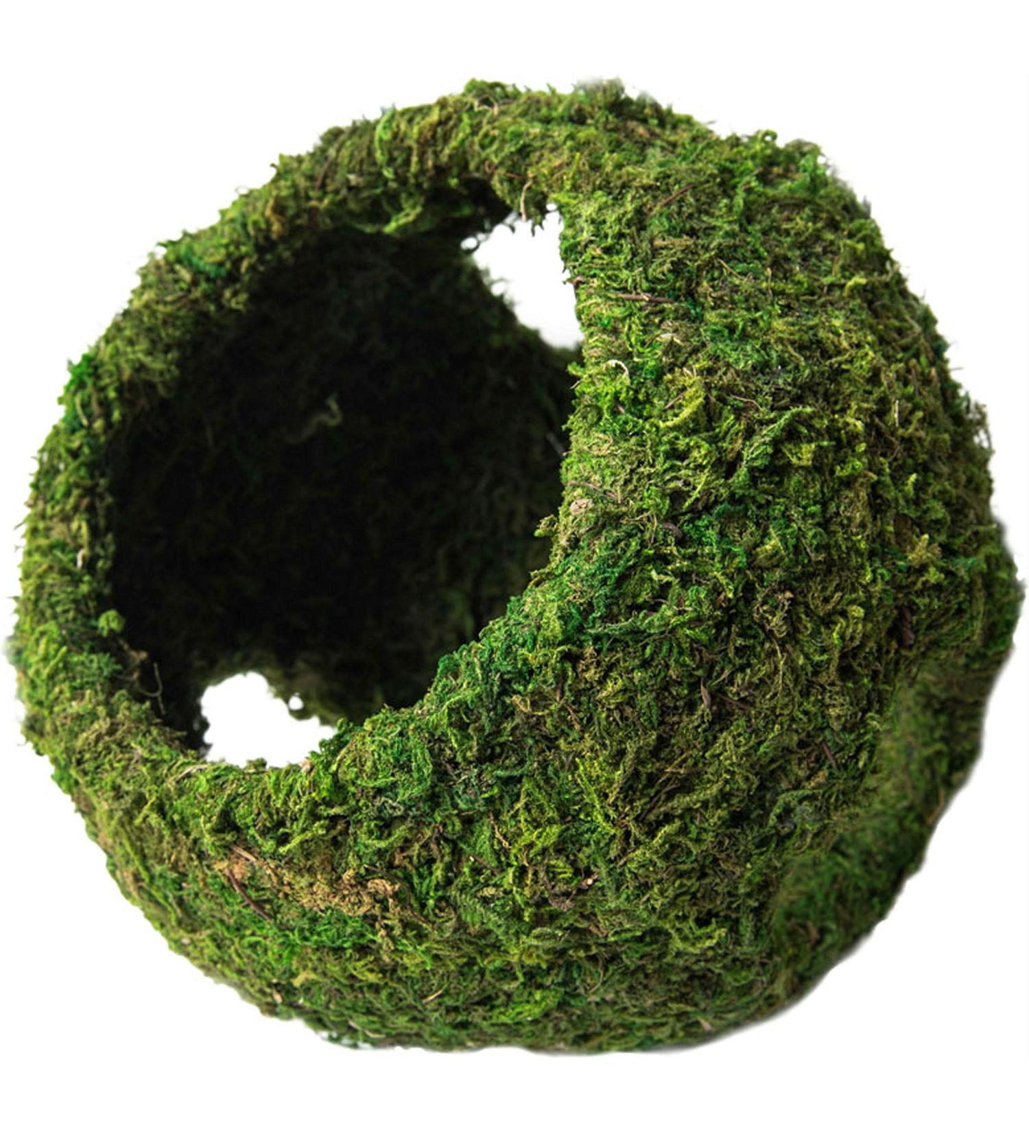 Galapagos 05344 Mossy Cave with Holes for Aquarium, 7.5", Green (759834053446)