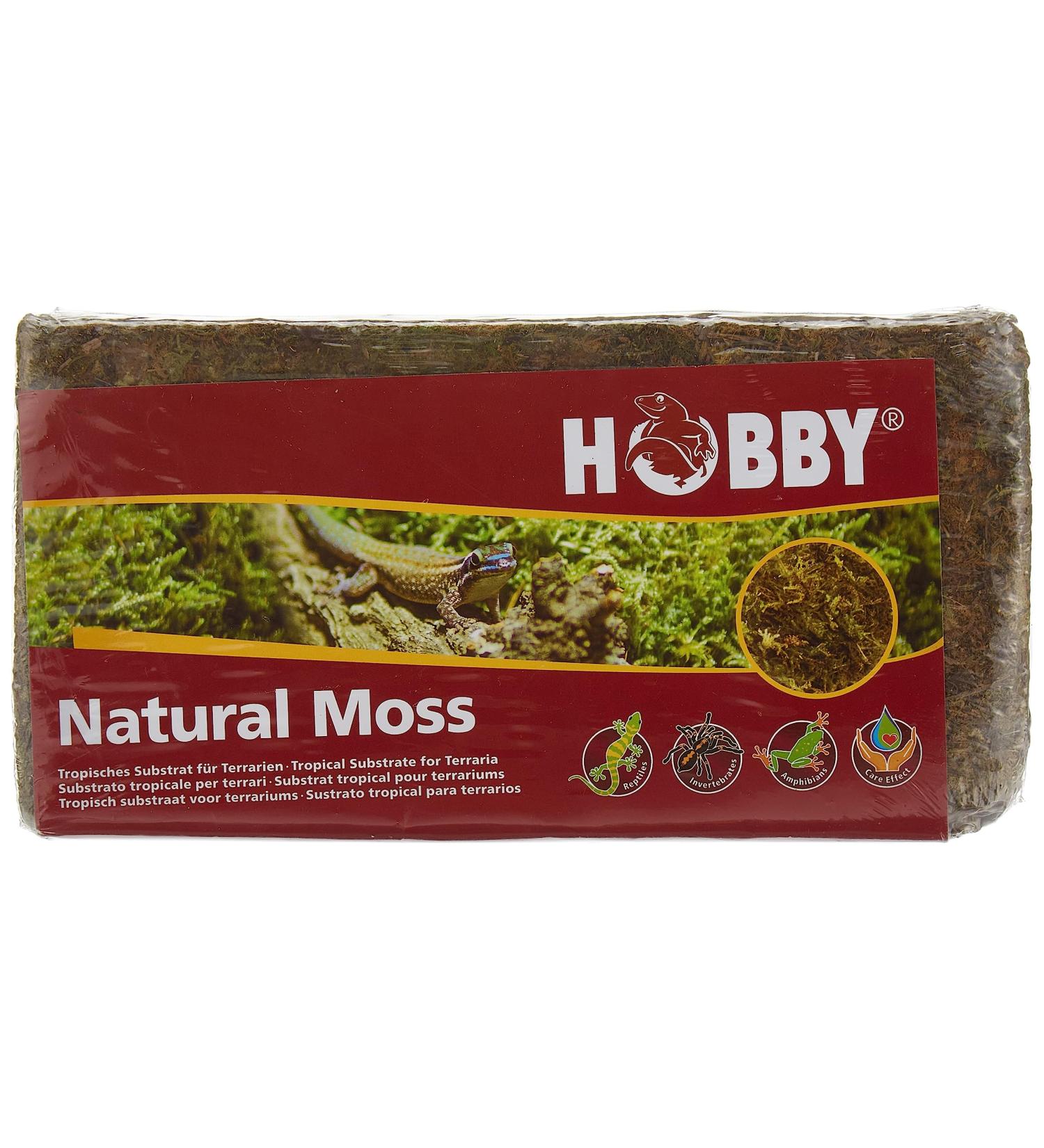Dohse Aquaristik Hobby 34174 Natural Moss | Premium Aquarium Decoration | Ideal for Aquascaping & Fish Tanks - Buy Online on GoSupps.com