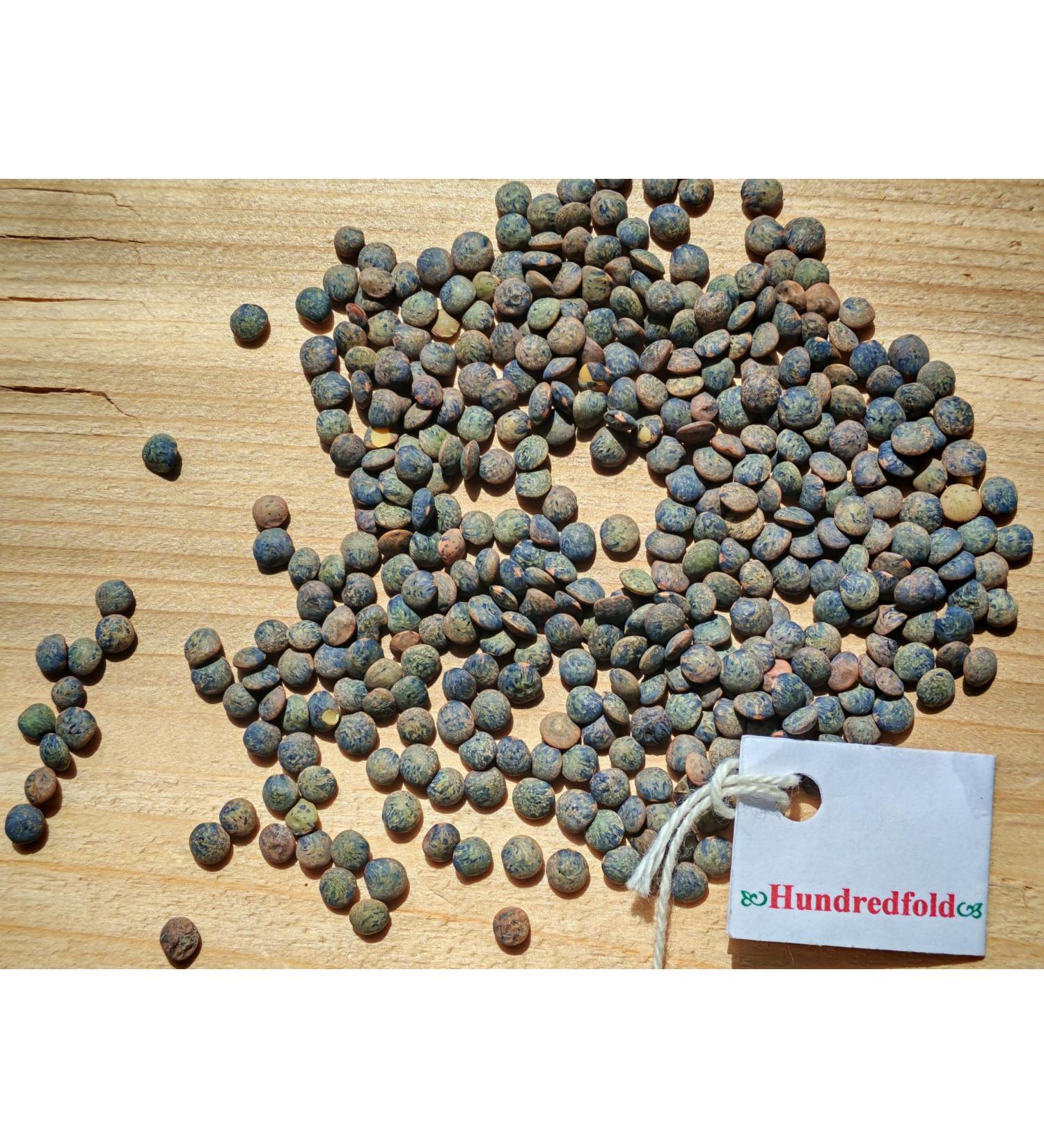Hundredfold 2LBS Organic French Green Lentils - Non GMO Canada Grown Excellent for Muscle Builders Vegans & Vegetarians - Buy Online on GoSupps.com