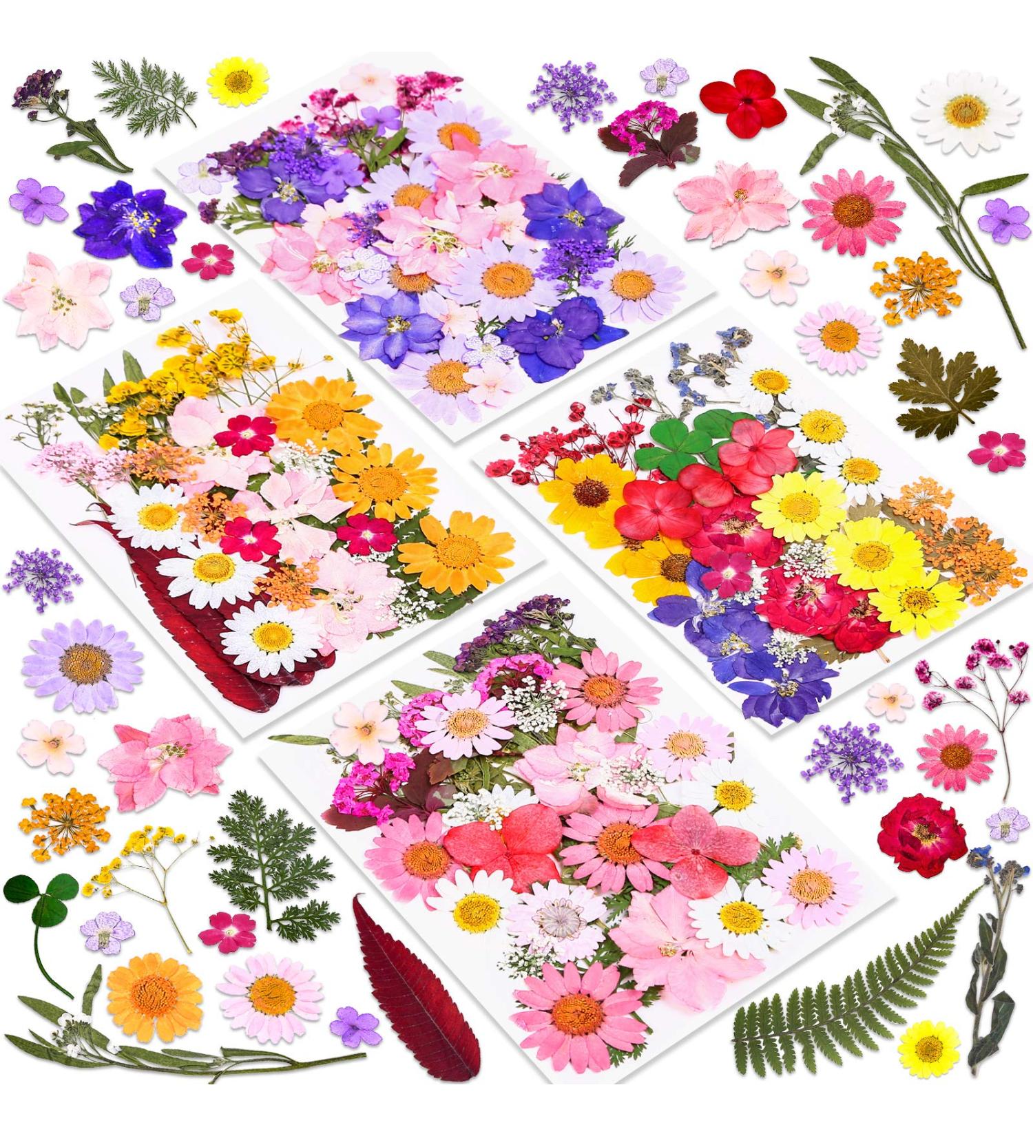 Dried Pressed Flower Kit for Resin Crafts - 140 Pcs Natural Herbs, Leaves & Flowers for Scrapbooking, DIY Art, Jewelry, Candle, Soap Making - Bulk Pack - Buy Online on GoSupps.com