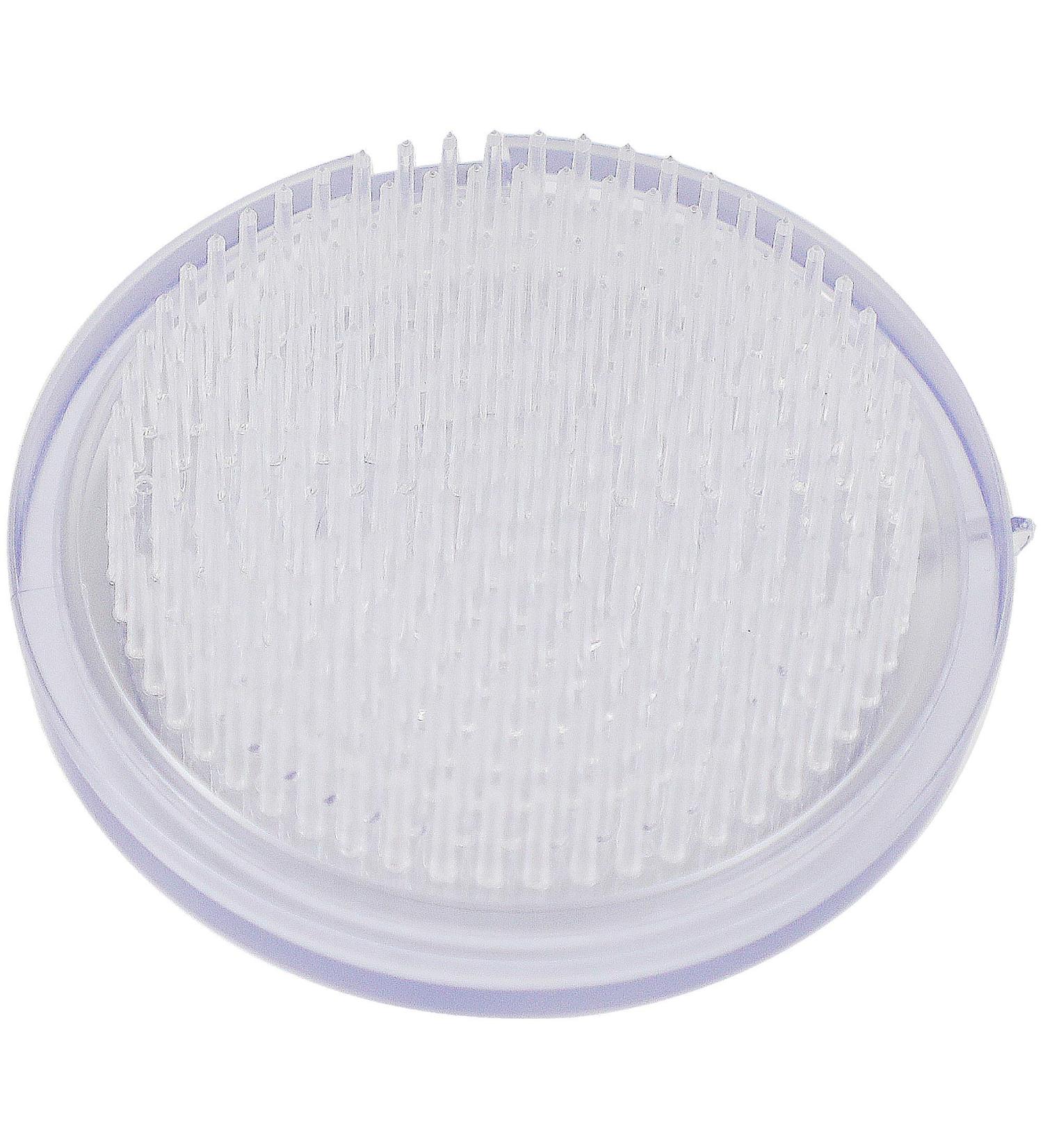 Wazakura Clear Ikebana Kenzan Japanese Flower Holder  Made in Japan  Plastic Floral Arranging Pin Frog  Round - 3(78mm) Clear - Buy Online on GoSupps.com