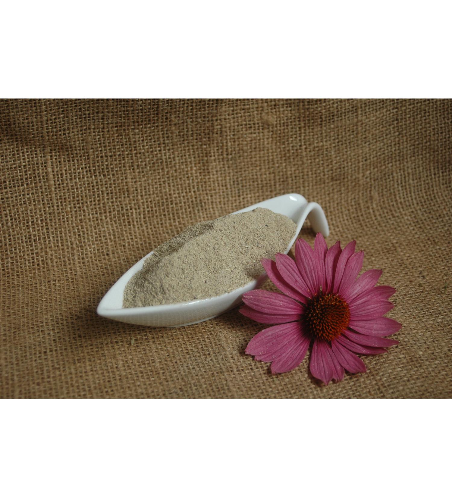 Naturix24 Naturix24 Ground echinacea root 500 g sachet