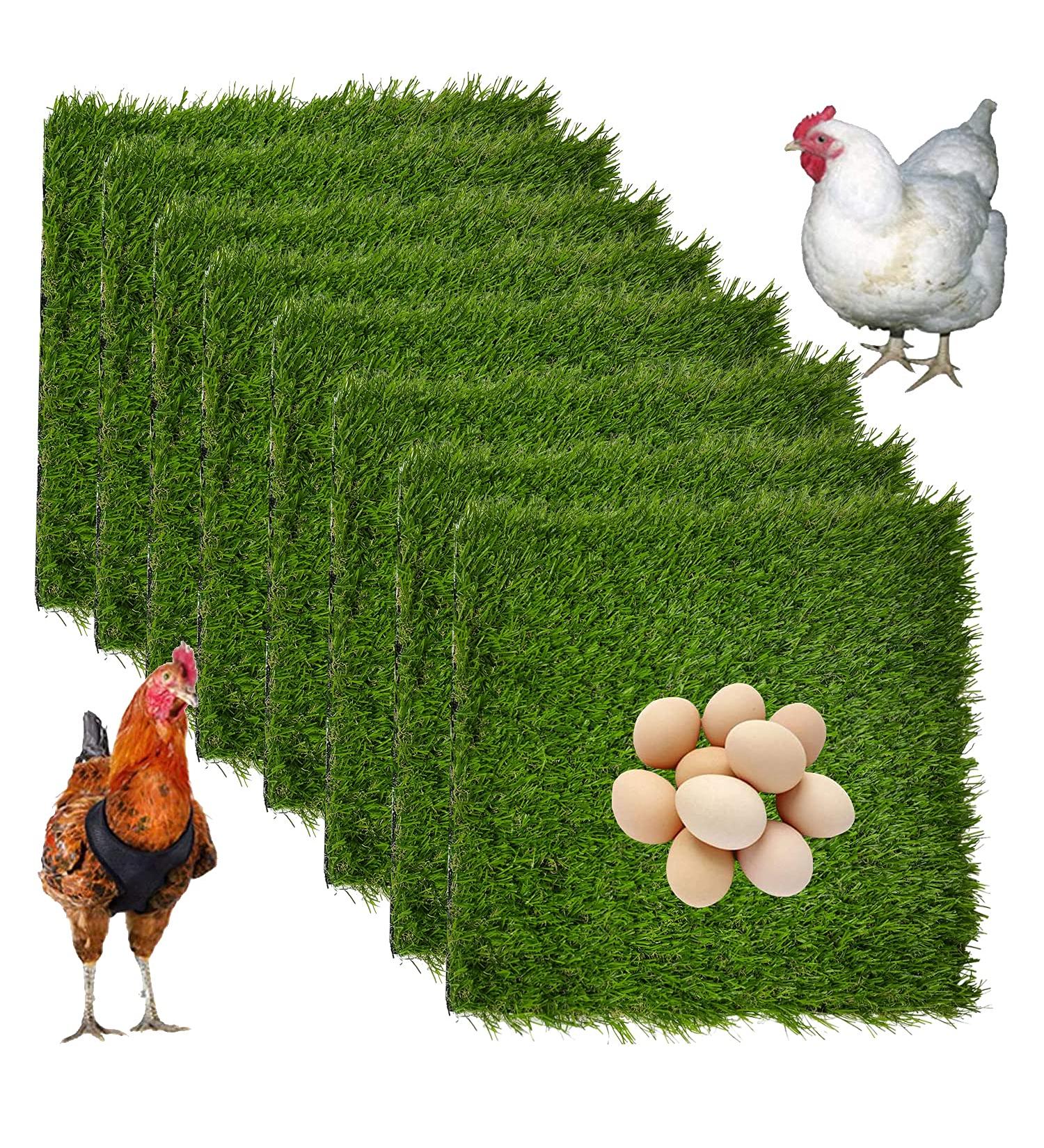 Hamiledyi Chicken Nesting Box Pads - Artificial Grass Rug for Coop - 12x12, 8PCS - Buy Online on GoSupps.com