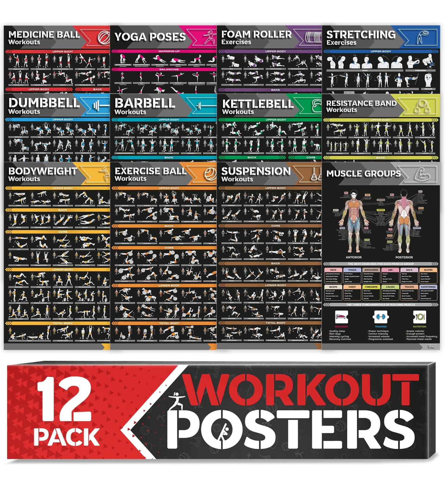 12-Pack Large Workout Poster Set - Home Gym Exercise Charts for Dumbbell, Yoga, Resistance Band, Kettlebell & More - Buy Online on GoSupps.com