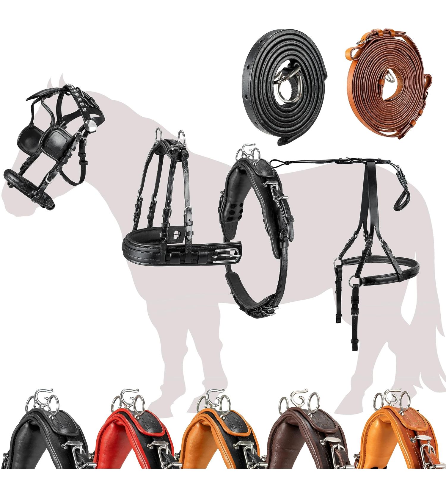 Buy Esposita Professional Carriage Dishes for Shetty Pony & Horse - XL Cold Blood Routing Dishes | International Shipping Available - Buy Online on GoSupps.com