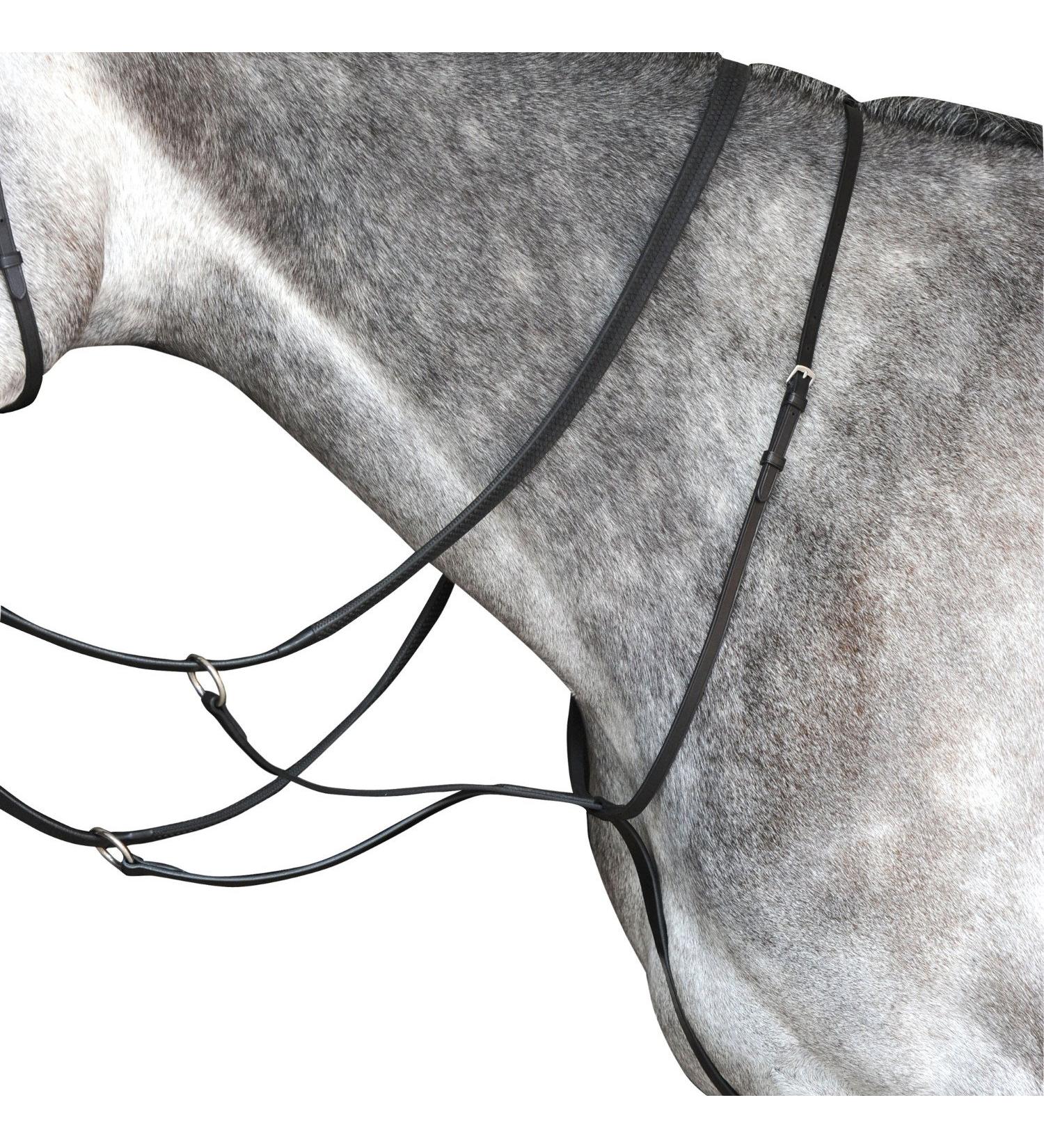 Collegiate Running Martingale IV Black Warmblood Warmblood Black