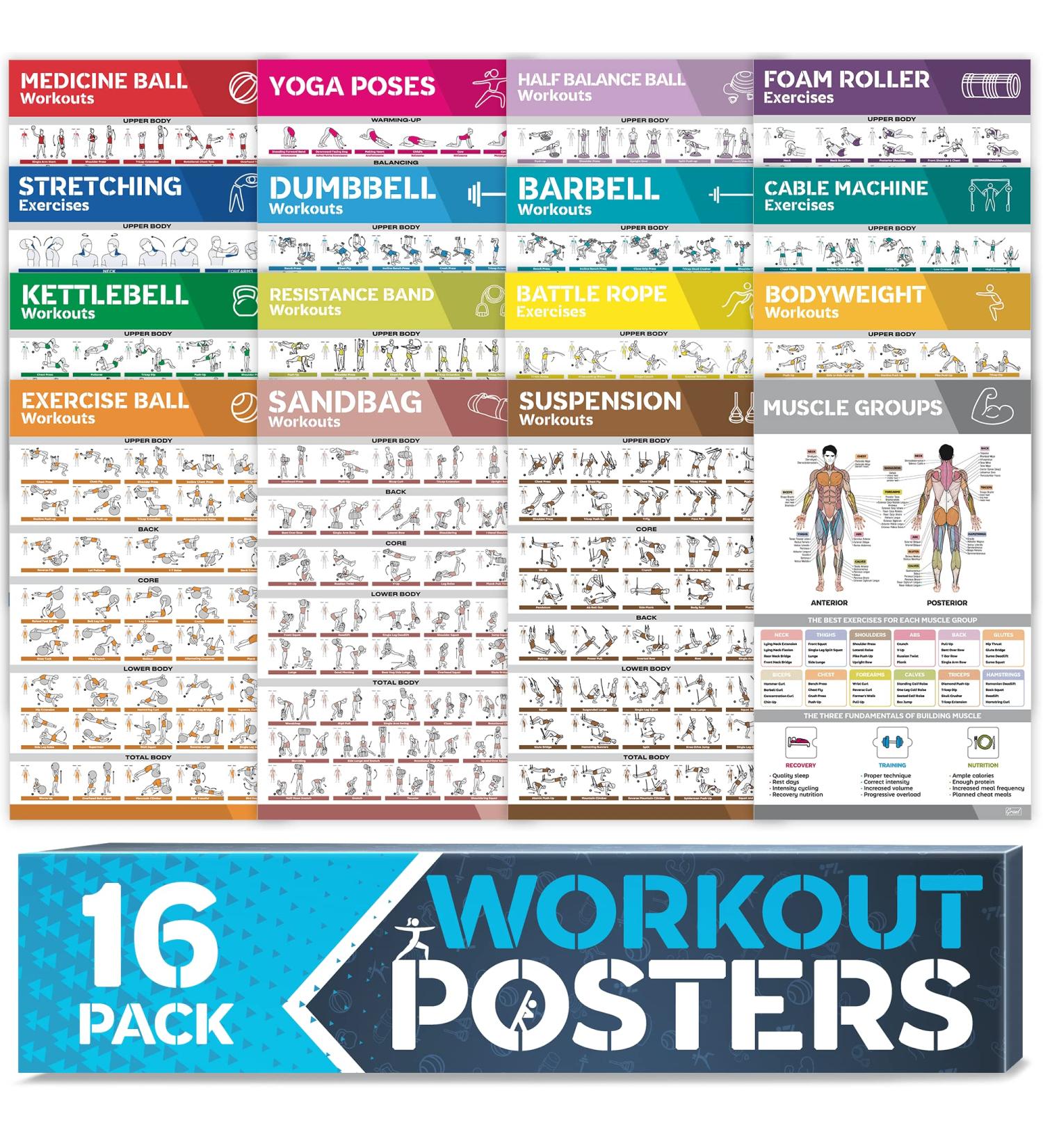 16-Pack Large Workout Poster Set - Dumbbell, Yoga, Resistance Band, Kettlebell & Stretching Exercise Charts for Home Gym - Buy Online on GoSupps.com