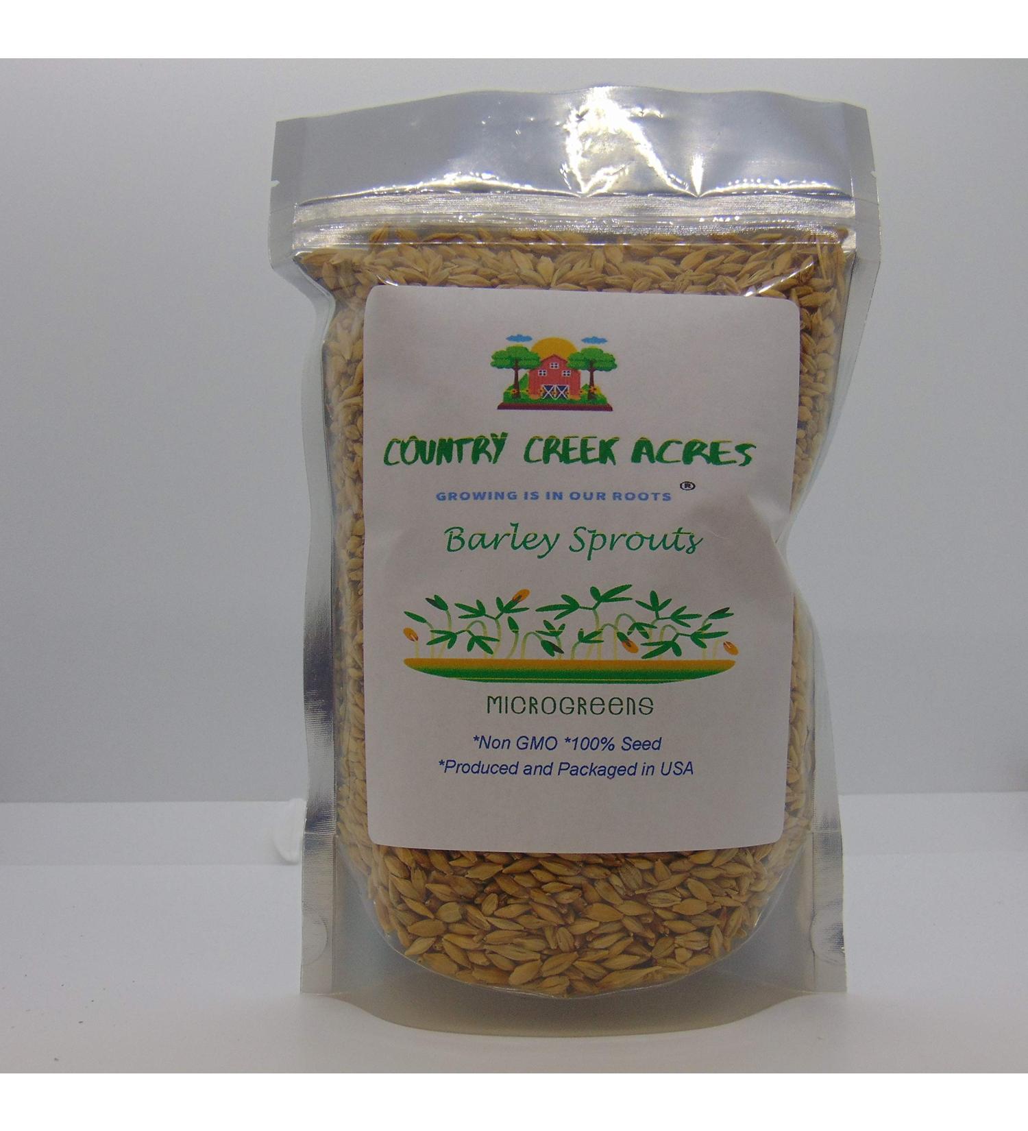 Organic Whole Barley Seeds for Barley Grass Juice & Sprouting - 8oz Resealable Pouch for Brewing & Malting - Buy Online on GoSupps.com