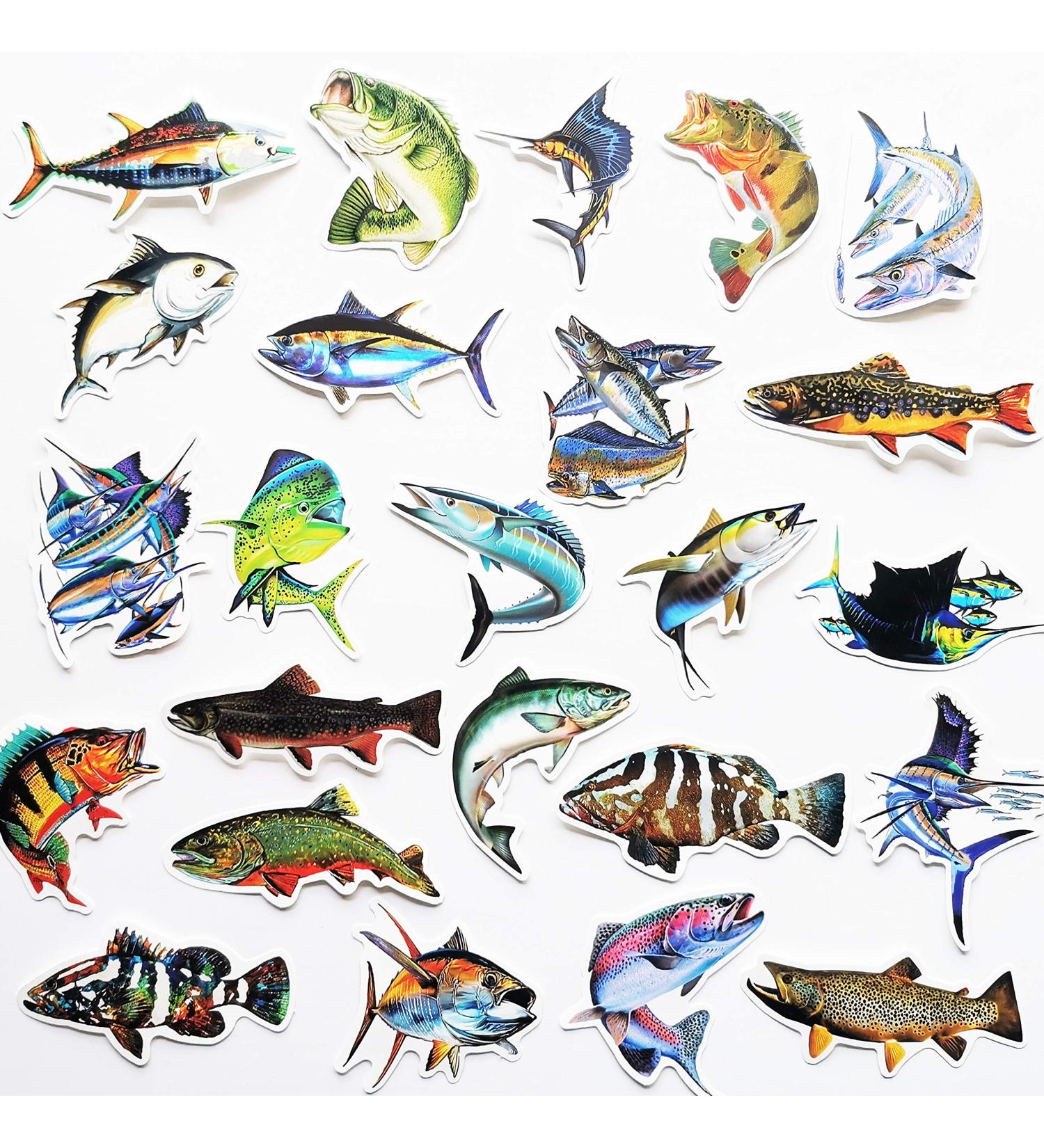 50Pcs Funny Fishing Rod Decals for Trucks, Windows, Boats - Grouper, Bass, Trout, Sailfish Stickers - Buy Online on GoSupps.com