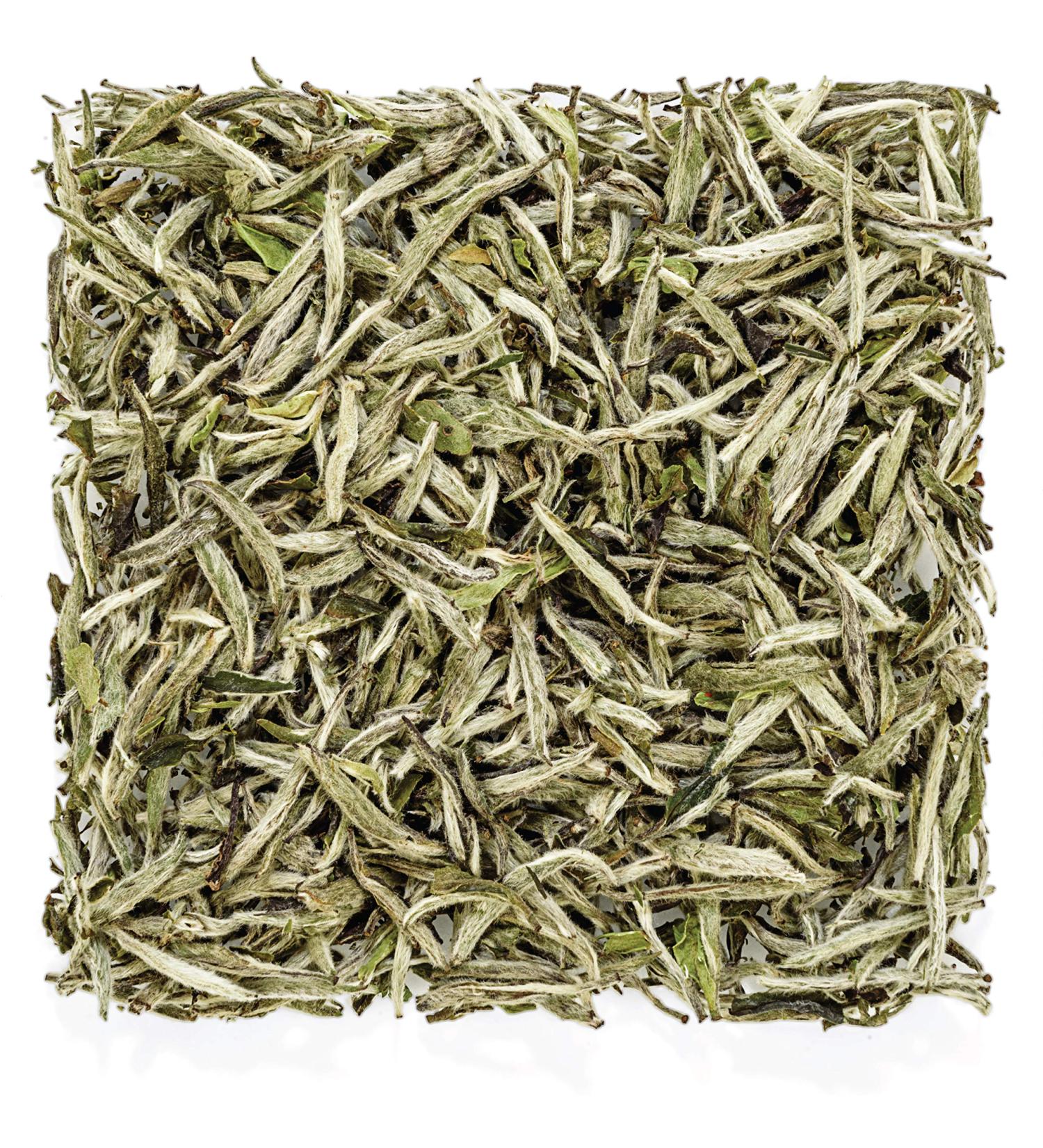 Tealyra Premium White Silver Needle Tea | Bai Hao Yinzhen from Fujian China | Superior Loose Leaf Chinese Silver Tip White Tea - 100g - Buy Online on GoSupps.com