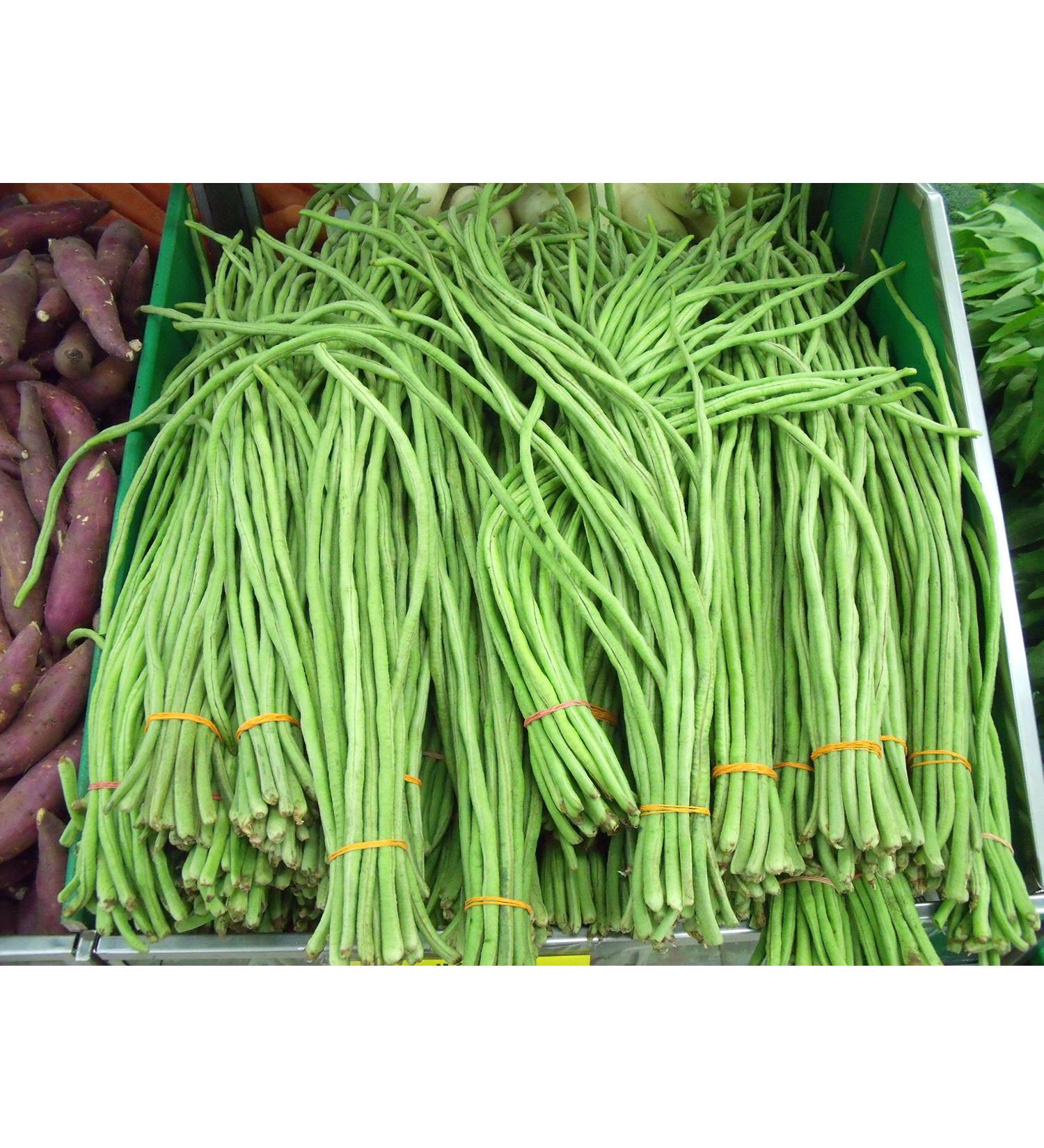 5 g (circa 30) semi di fagioli verdi lunghi SPAGHETTI Snake Bean Fagiolo lungo cinese Fagiolo spaghetti Cowpea