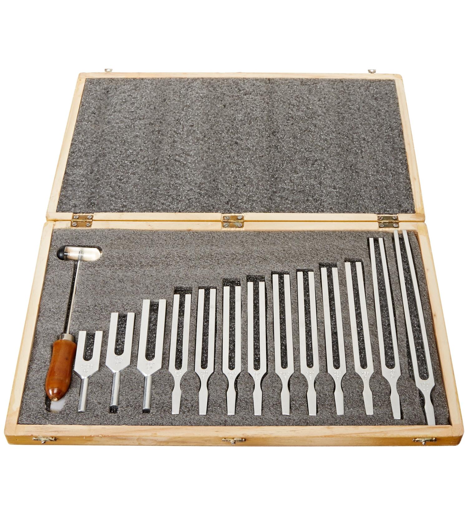 United Scientific TFBOX13 Tuning Fork Set with Mallet - 13-Piece Wooden Box Kit - Buy Online on GoSupps.com