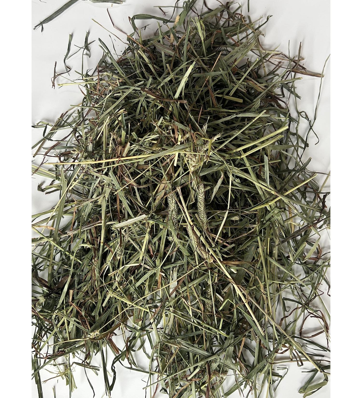 Timothy Hay for Small Pets Hay for Rabbits Hay for Guinea Pigs Hay for Chincilla Hay 2nd Cut Timothy Hay Hay Bale Compressed Hay Box of Hay - Buy Online on GoSupps.com