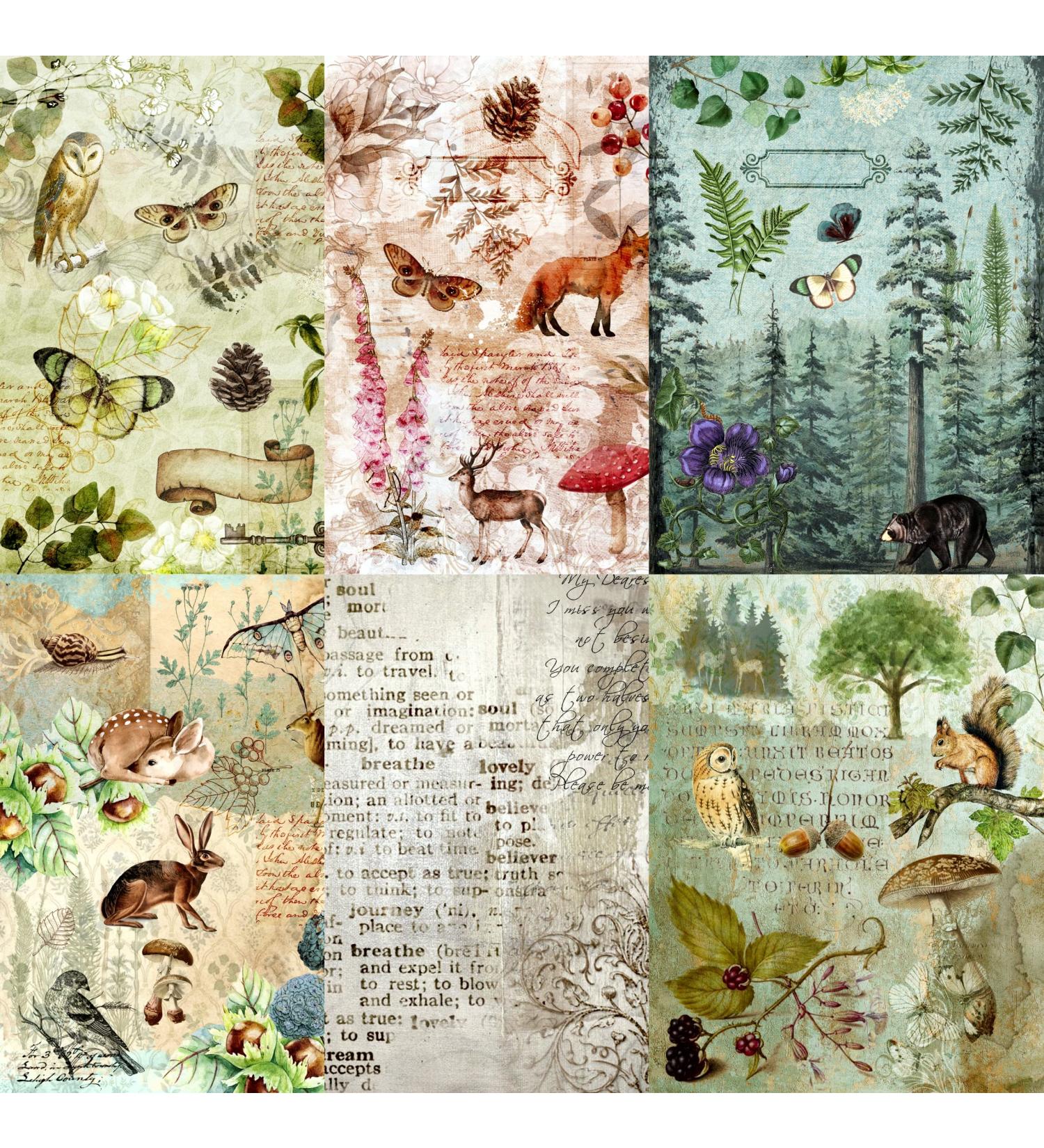 Woodland Theme Mulberry Rice Paper 8x10.5 inch - 6 Unique Designs for Decoupage and Mixed Media Crafts - Buy Online on GoSupps.com
