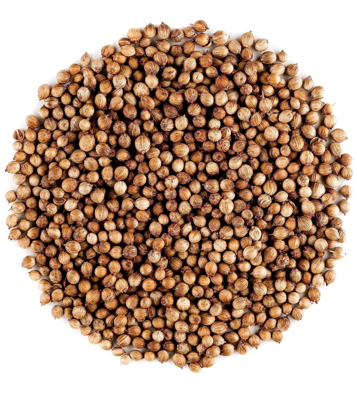 Organic Gourmet Coriander Seed - 700g | Elevate Your Dishes with High-Quality Cilantro Seeds - Buy Online on GoSupps.com