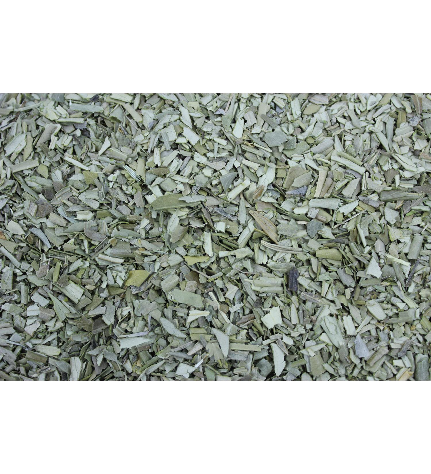 1000Herbs Olive Leaves Olive Leaf Tea Tea Cut Medicinal Plant Oleae Folium conc (250g) Olive Leaves 250g