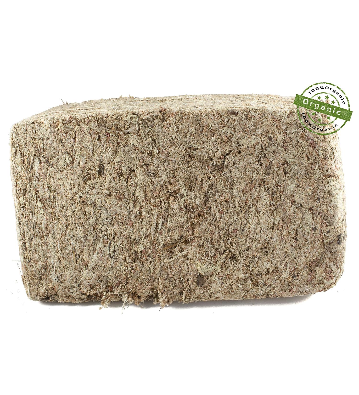 Sphagnum Moss 5000g for Orchids Potting Soil & Terrariums - Premium Chilean Quality - Buy Online on GoSupps.com