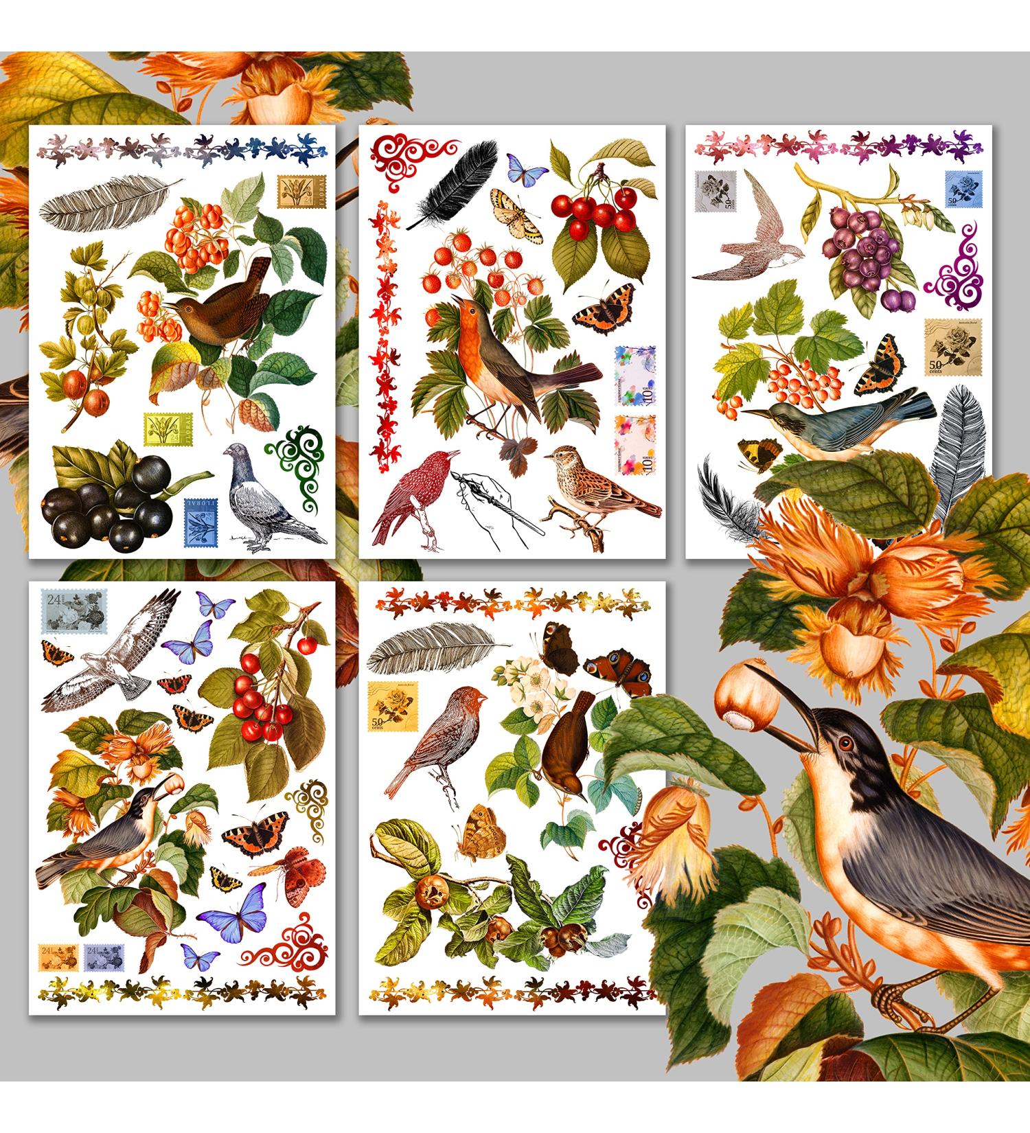 Decoupage Paper Pack (15 Sheets 8"x11") Birds and Flowers Last Century HANATABA Vintage Art Deco Styled Ephemera Pictures for Decoupage Craft and Scrapbooking Thirteen