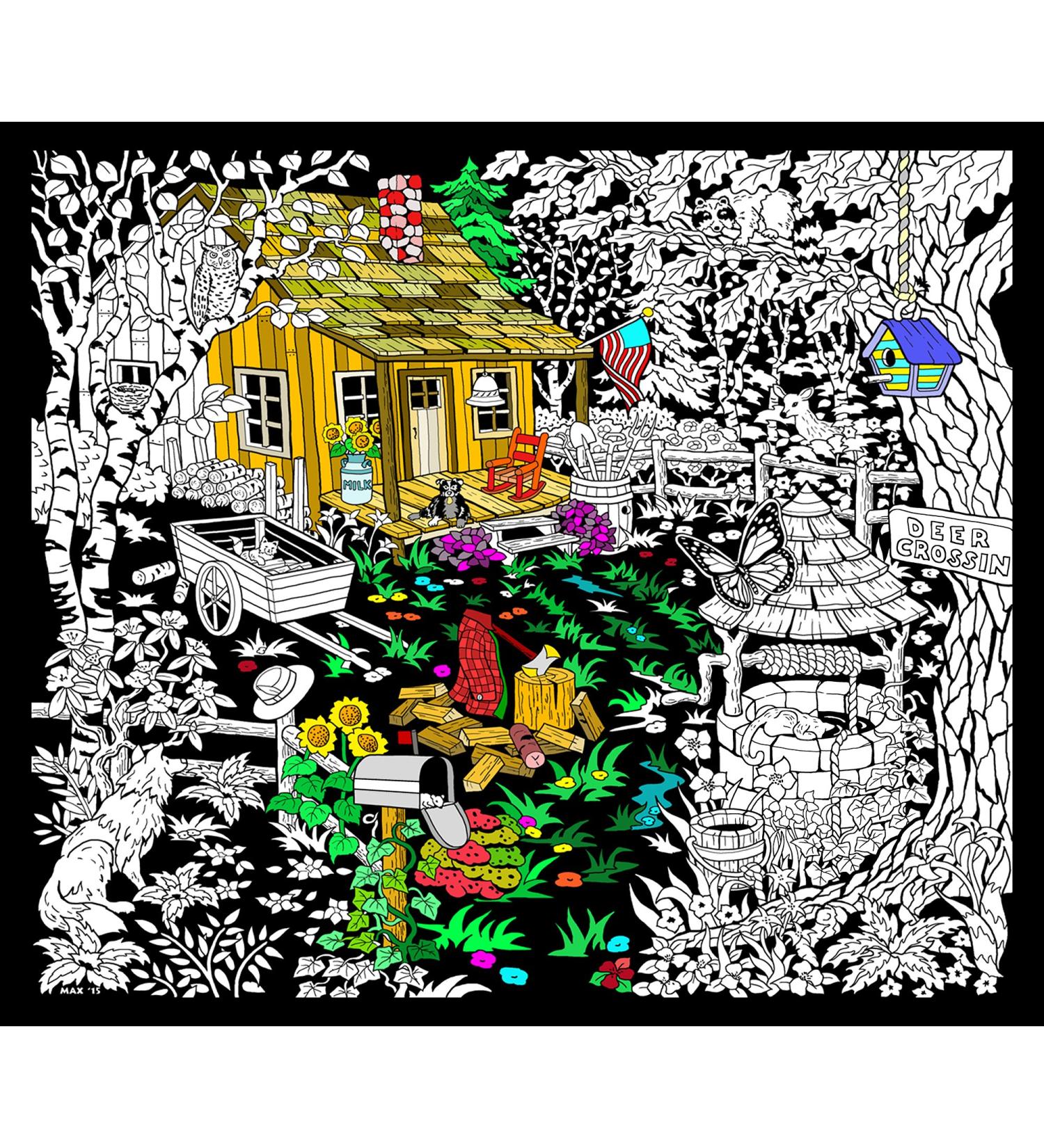Cabin Well - 23x20 Fuzzy Velvet Detailed Coloring Poster