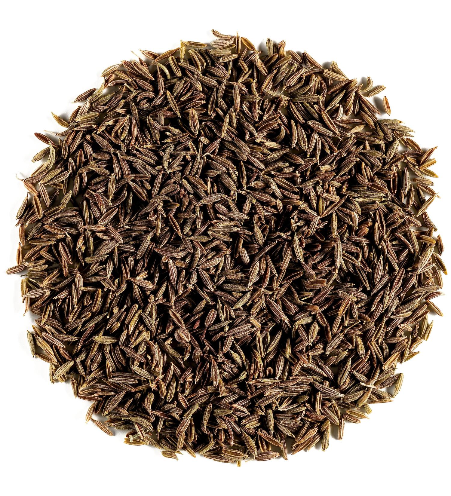 Organic Caraway Seeds - 100g | Premium Whole Seed for Gourmet Cooking - Buy Online on GoSupps.com