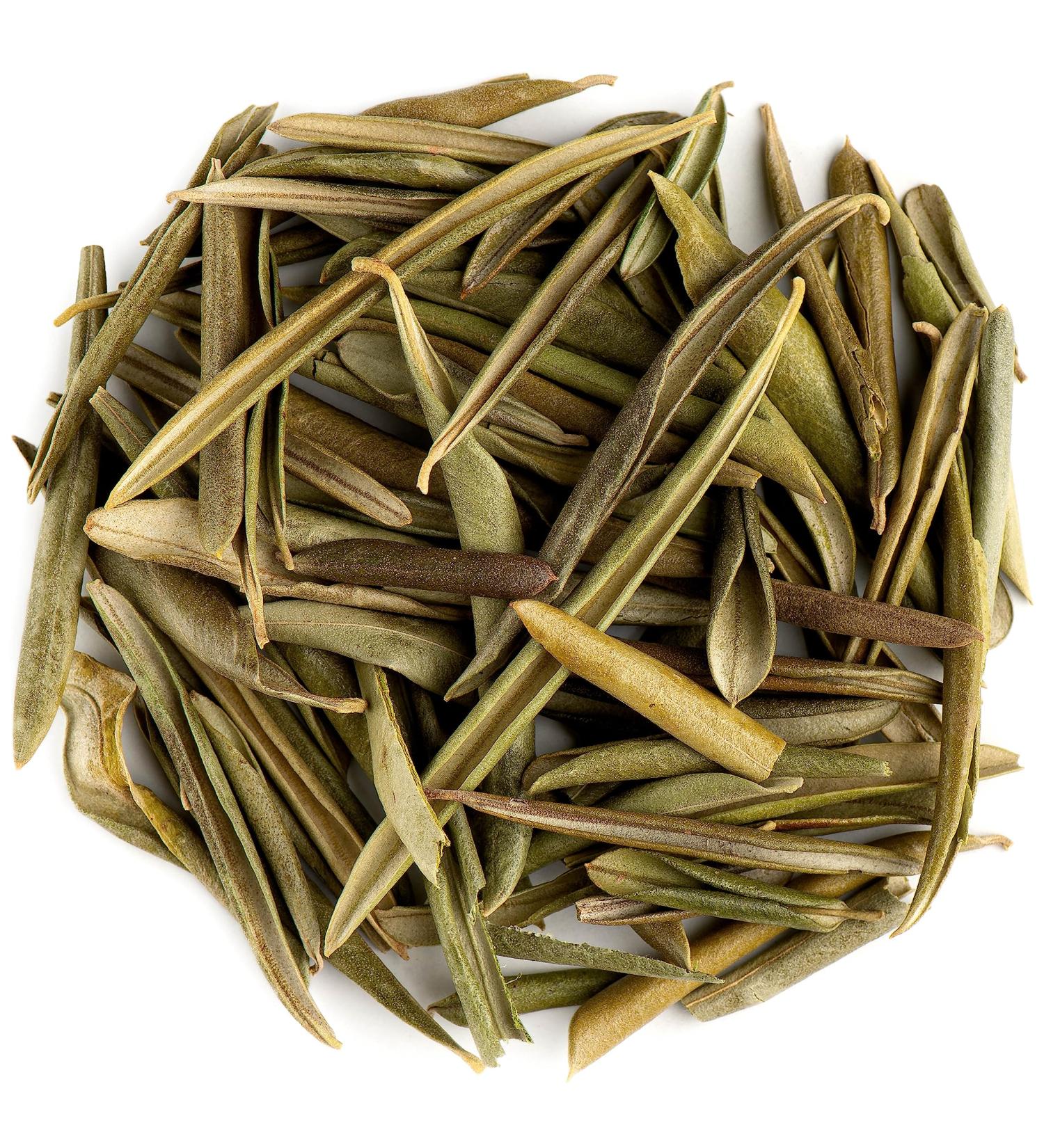 Organic Olive Leaf Tea - Premium Dried Olive Leaves - 100g - Rich in Antioxidants & Natural Wellness - Buy Online on GoSupps.com