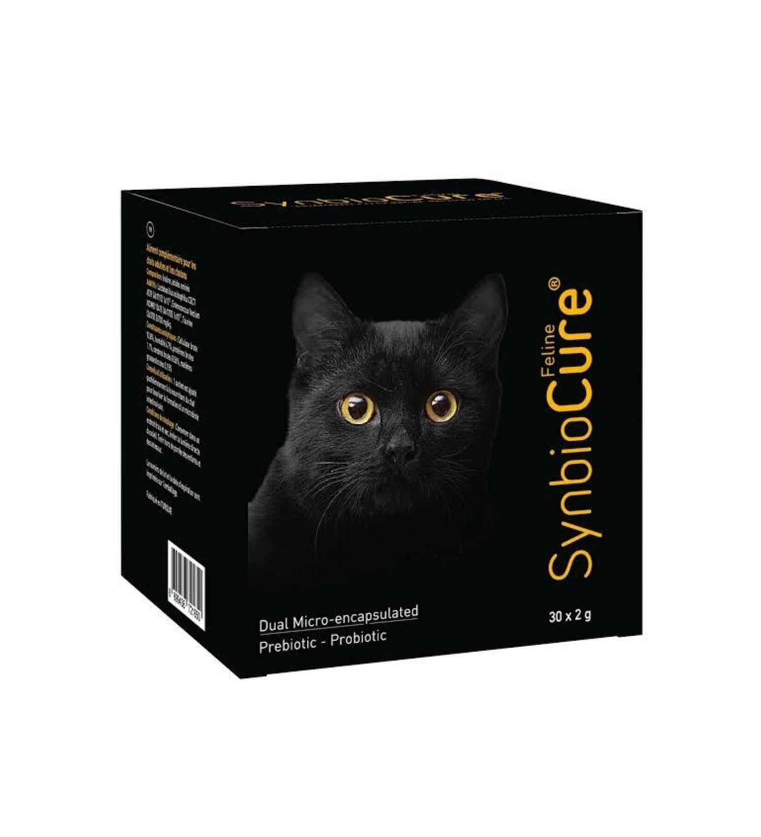 SYNBIOCURE Probiotic and Prebiotic Cat Digestive System Regulator 30 X 2gr (05.2025)