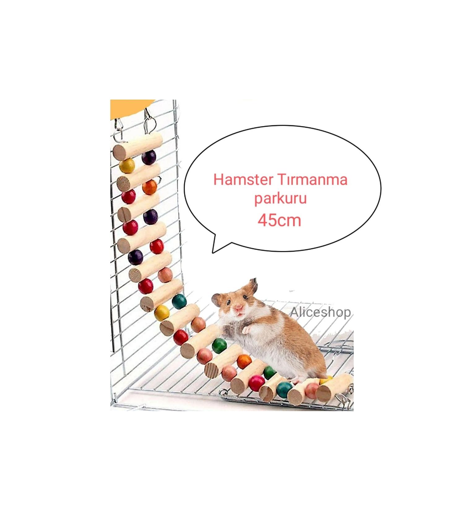 Alice Hamster climbing track