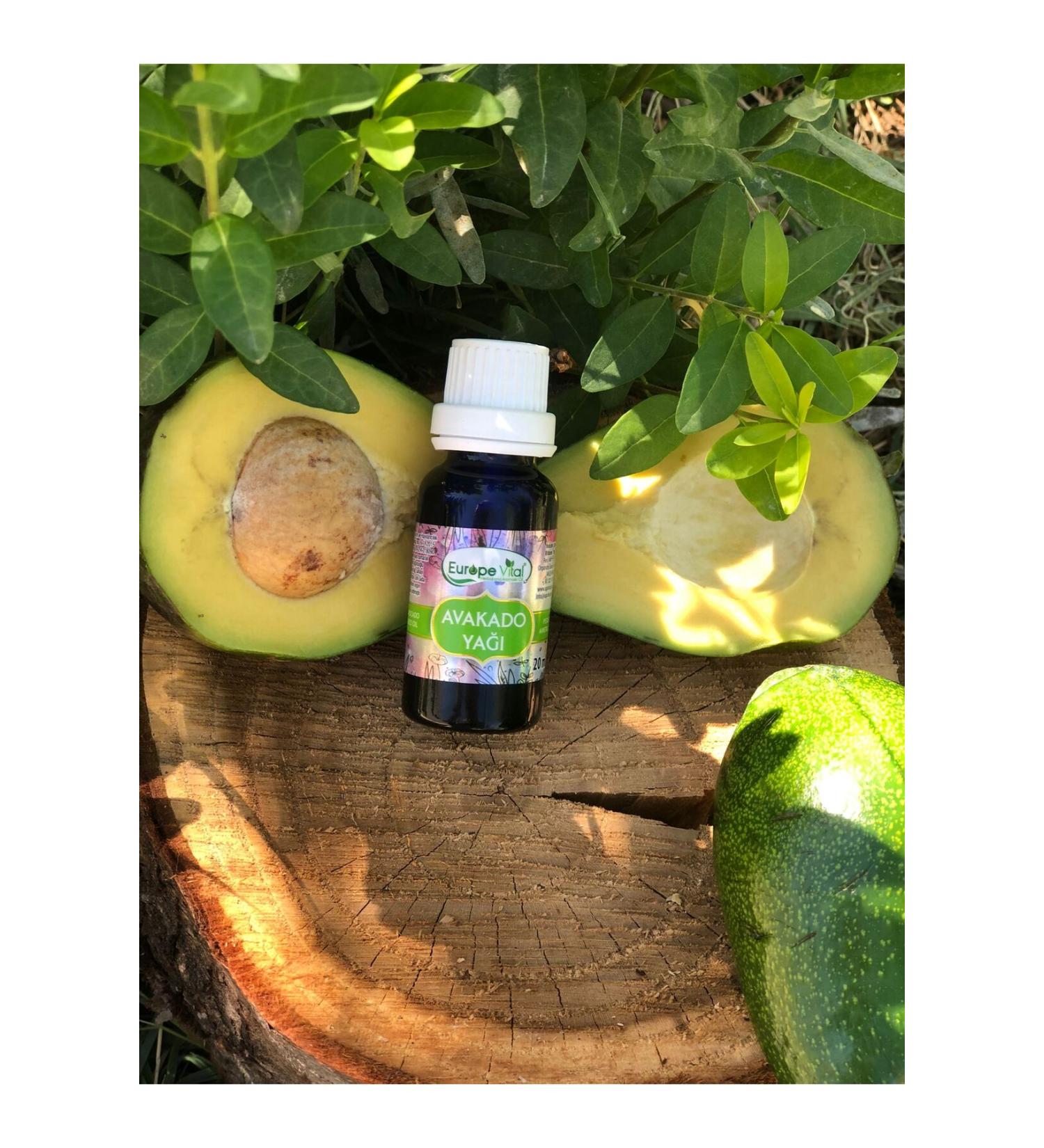 Europe Vital Avocado Oil 20 Ml