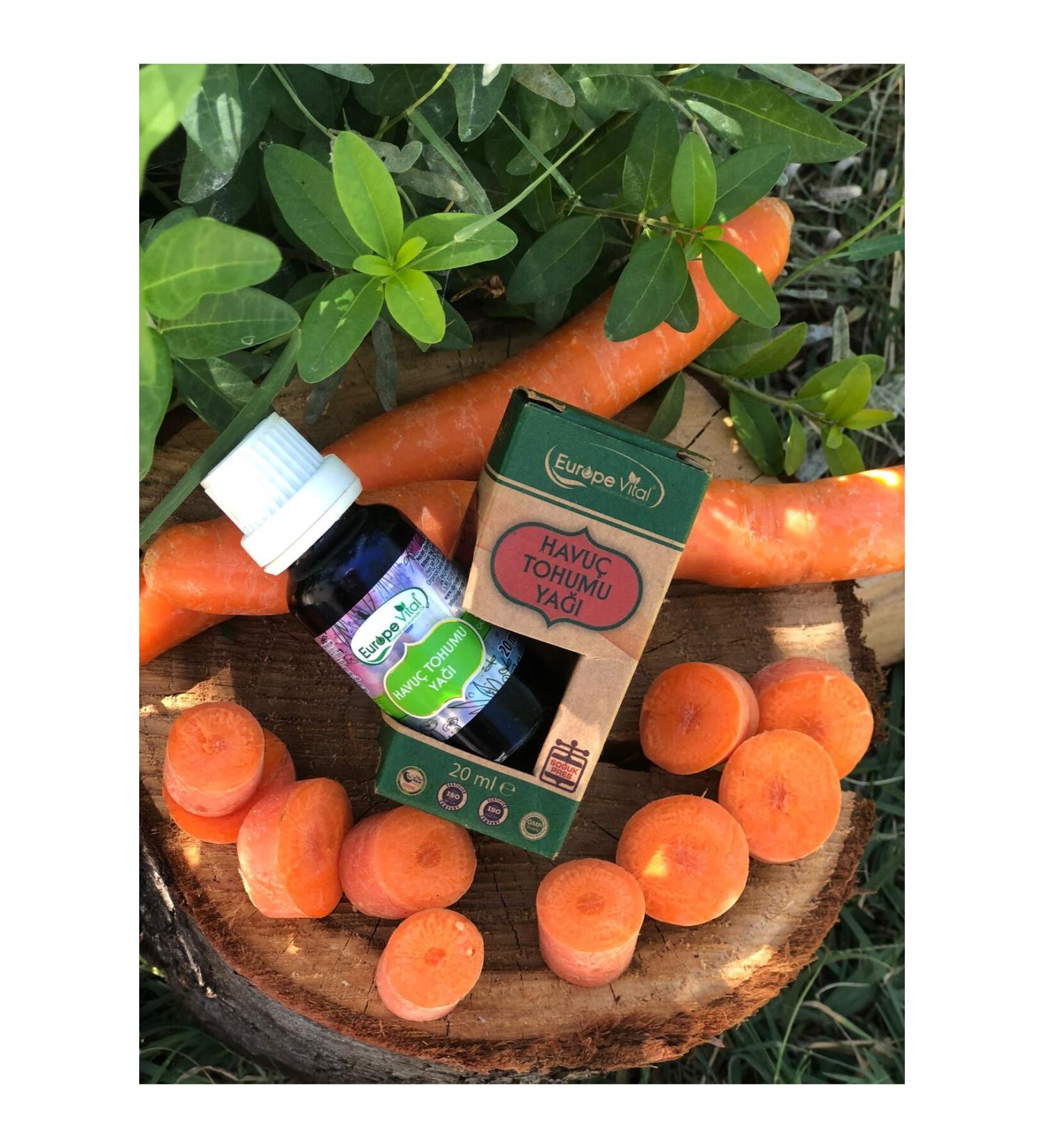 Europe Vital Carrot Seed Oil 20 Ml