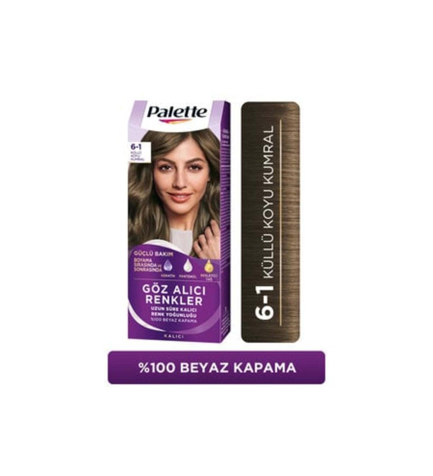 Palette Icc 6-1 Ash Dark Blonde Hair Dye (1 PIECE)