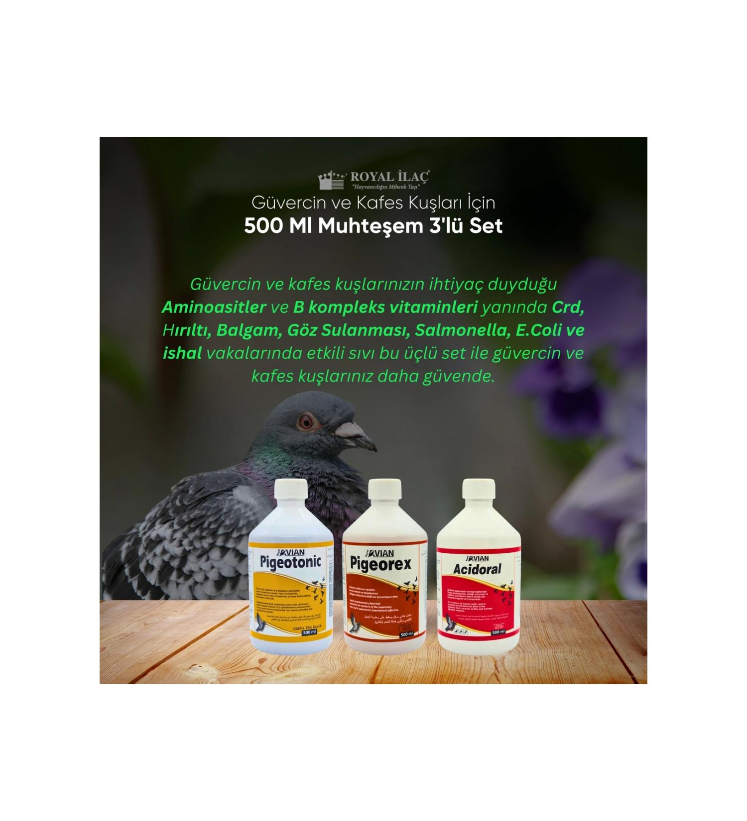 Royal la Royal la Pigeons and Cage Birds 500 ml Magnificent Triple Set (PIGEOTONIC PIGEOREX ACIDORAL)
