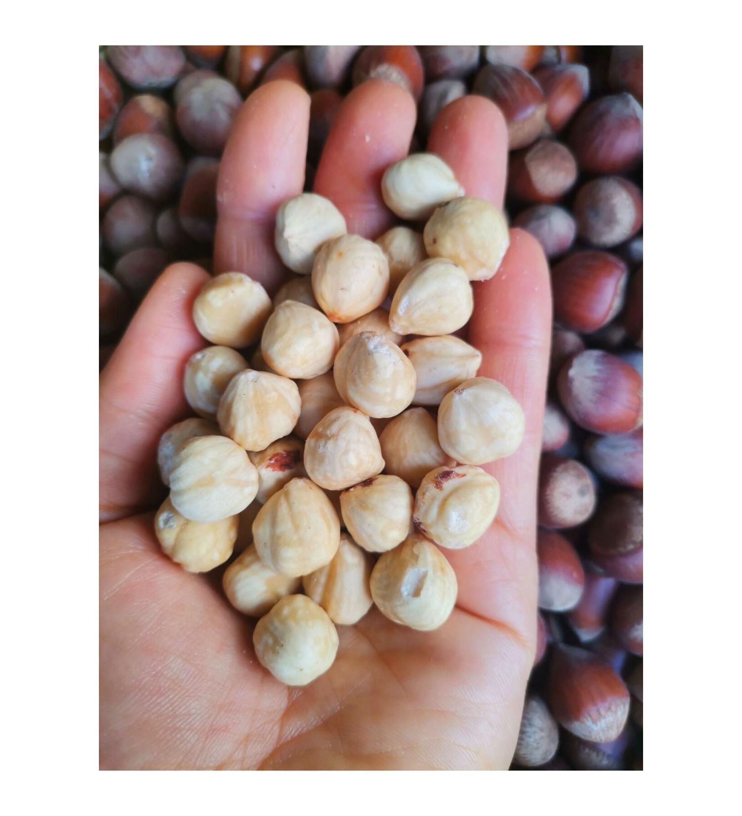 Natural Life 54 Hazelnuts (Inside) (Roasted) 250 Gr