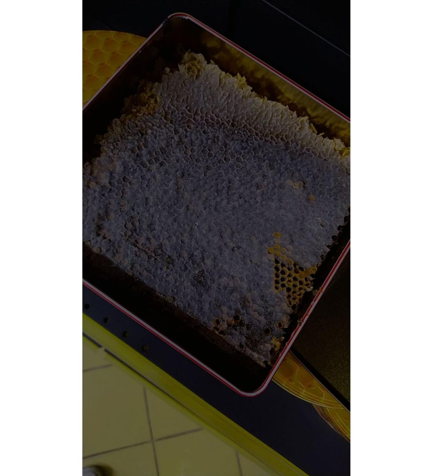 YOUR FOOD Sirt Pervari Kara Hive Bali