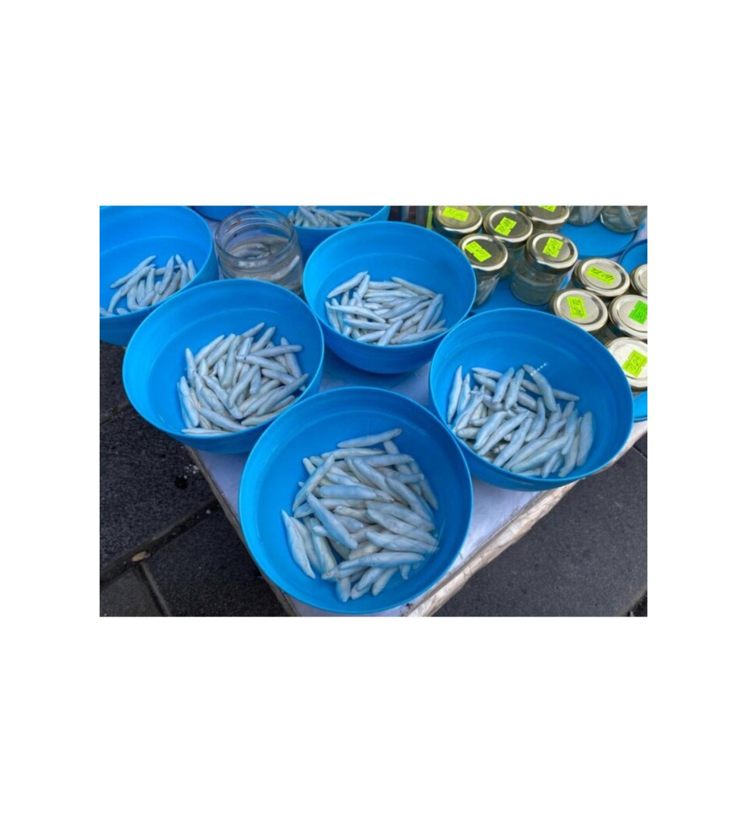 organikcity44 Malatya Natural Acanthus Gum 15 Pieces