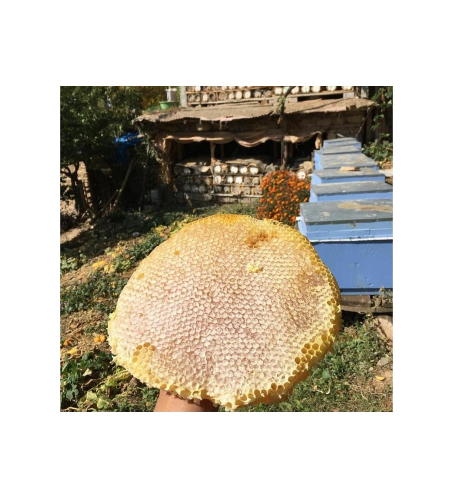 BEY THE BALCI 1 kg of honey