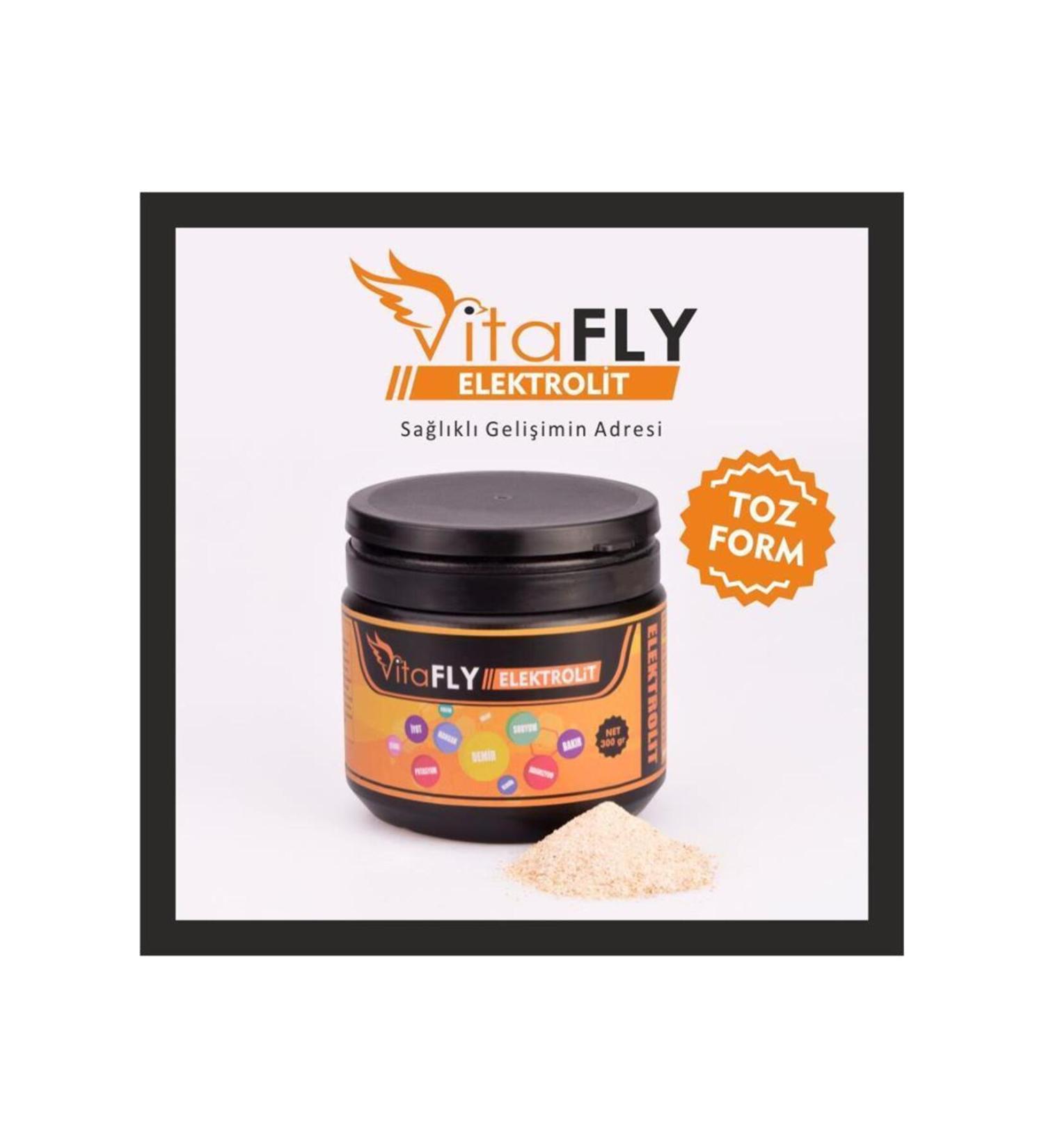 V TAFLY VitaFly Electrolyte 300 gr powder