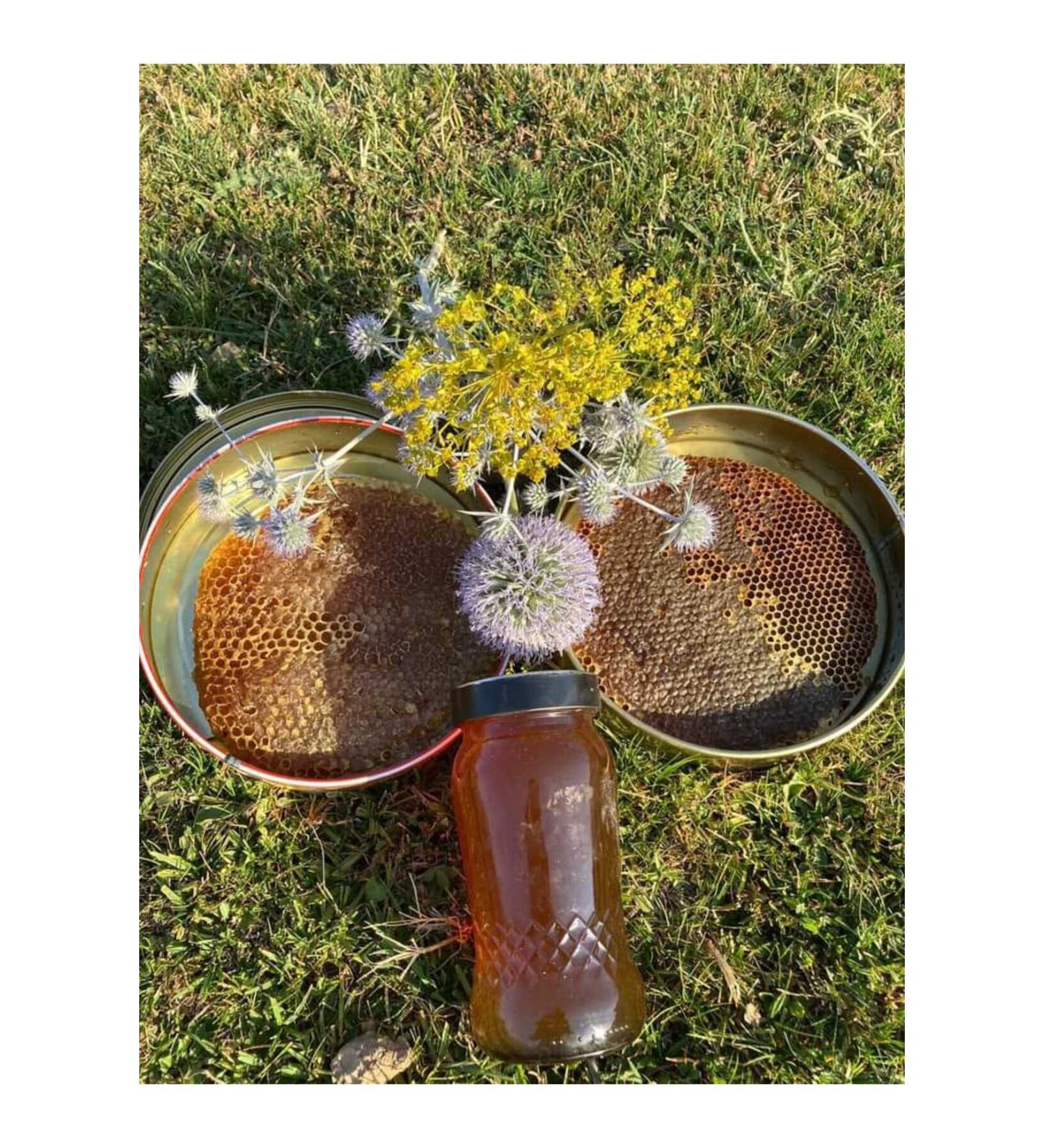 GOLDEN DAMLA Olives and Olive Oils Black Hive Honey 1kg