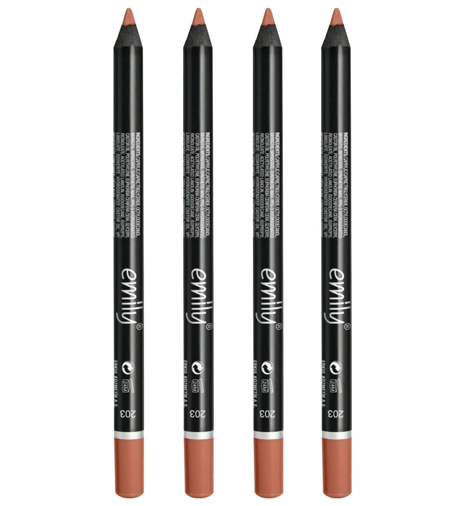 Golden Rose Emily Lip Pencil 4-Piece No: 203