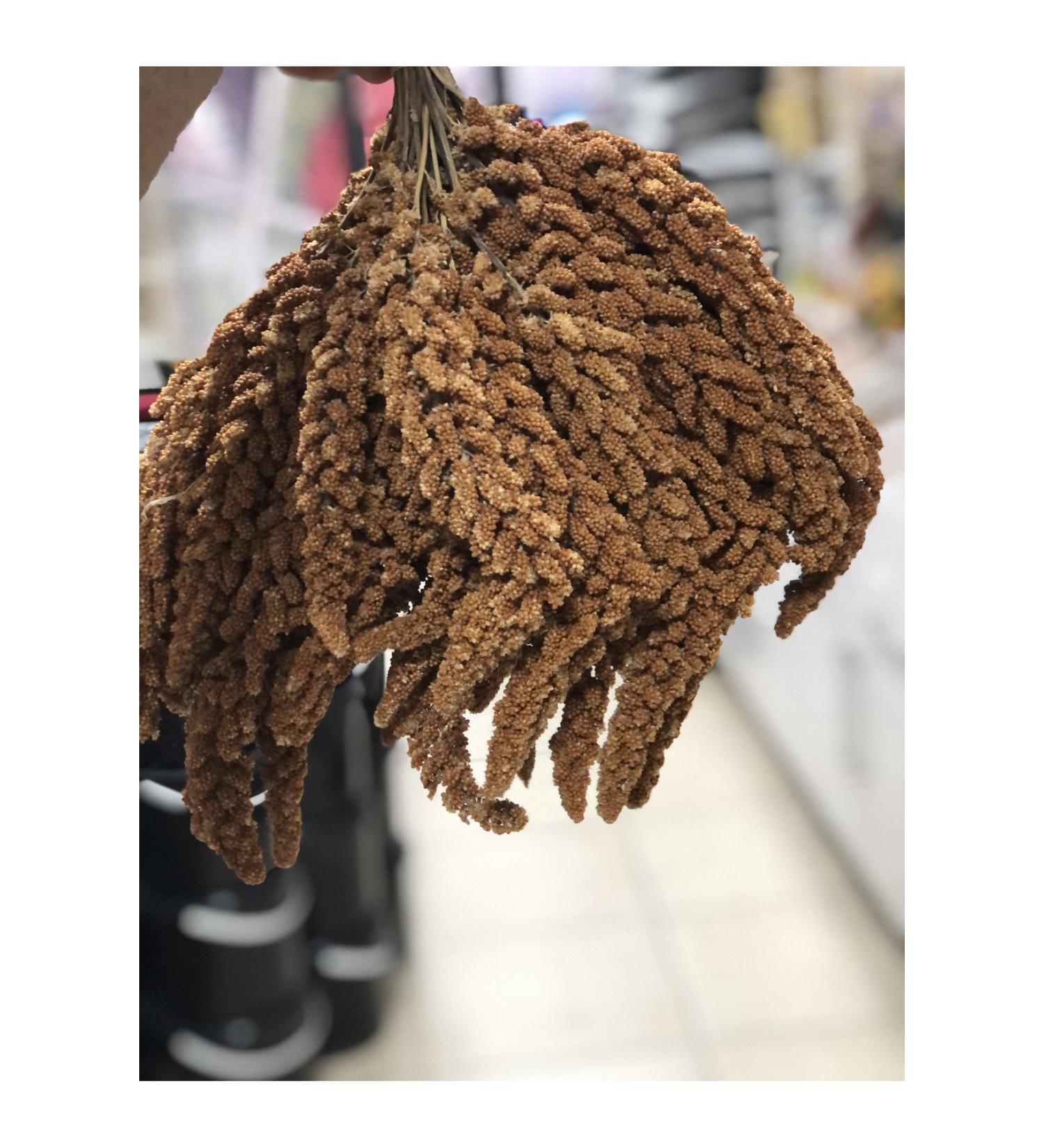 mn mammamia mix 1 kg red daldar Fox tail