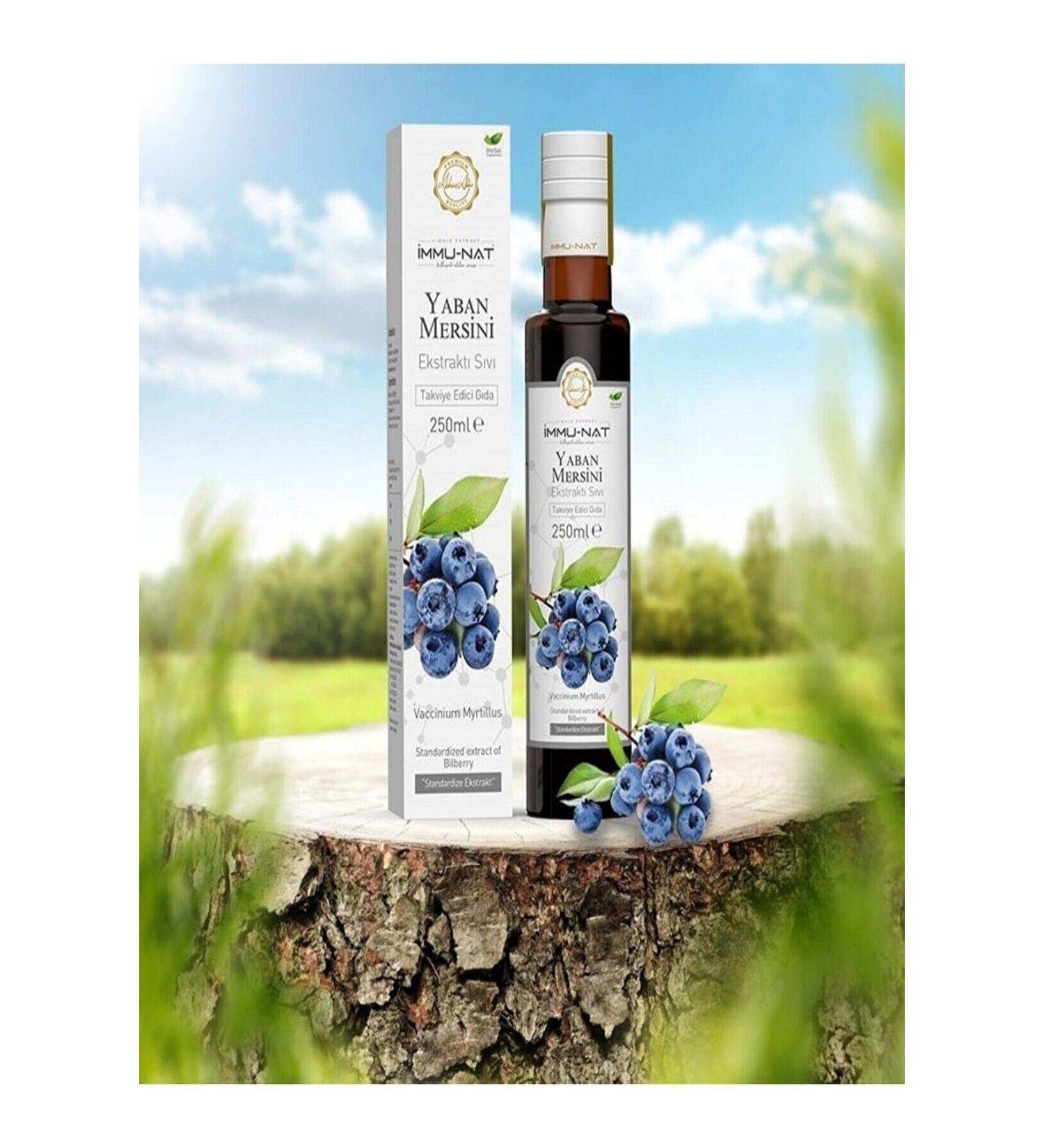 BORLU Immunat Blueberry Extract 250 Ml